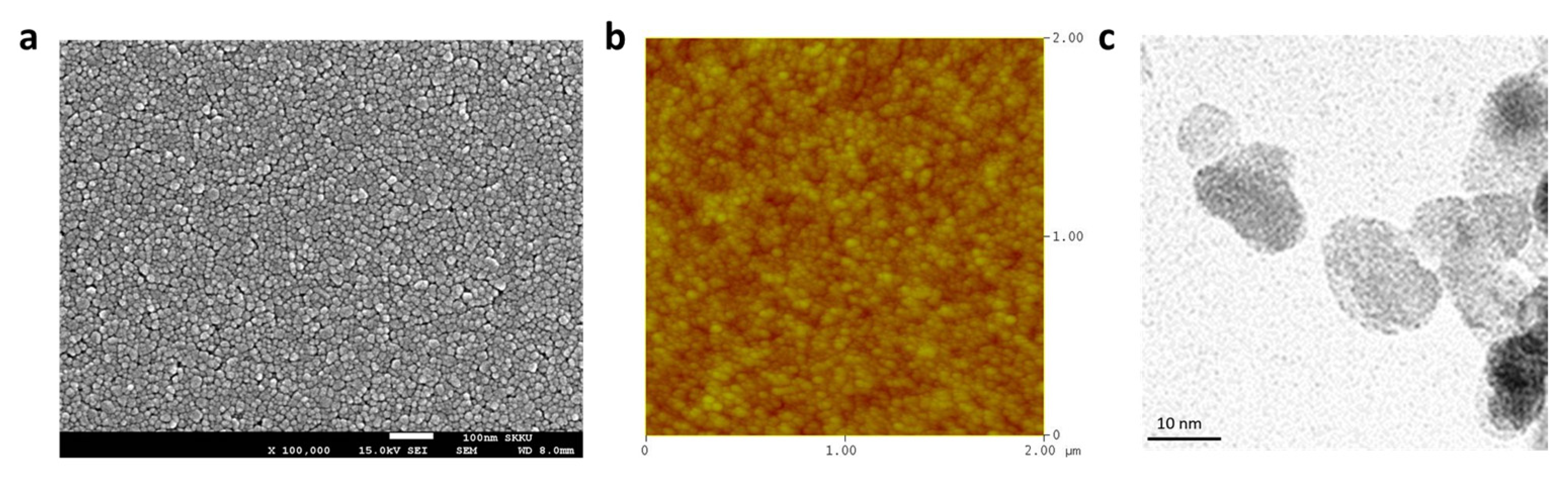 Nanomaterials 12 03806 g005
