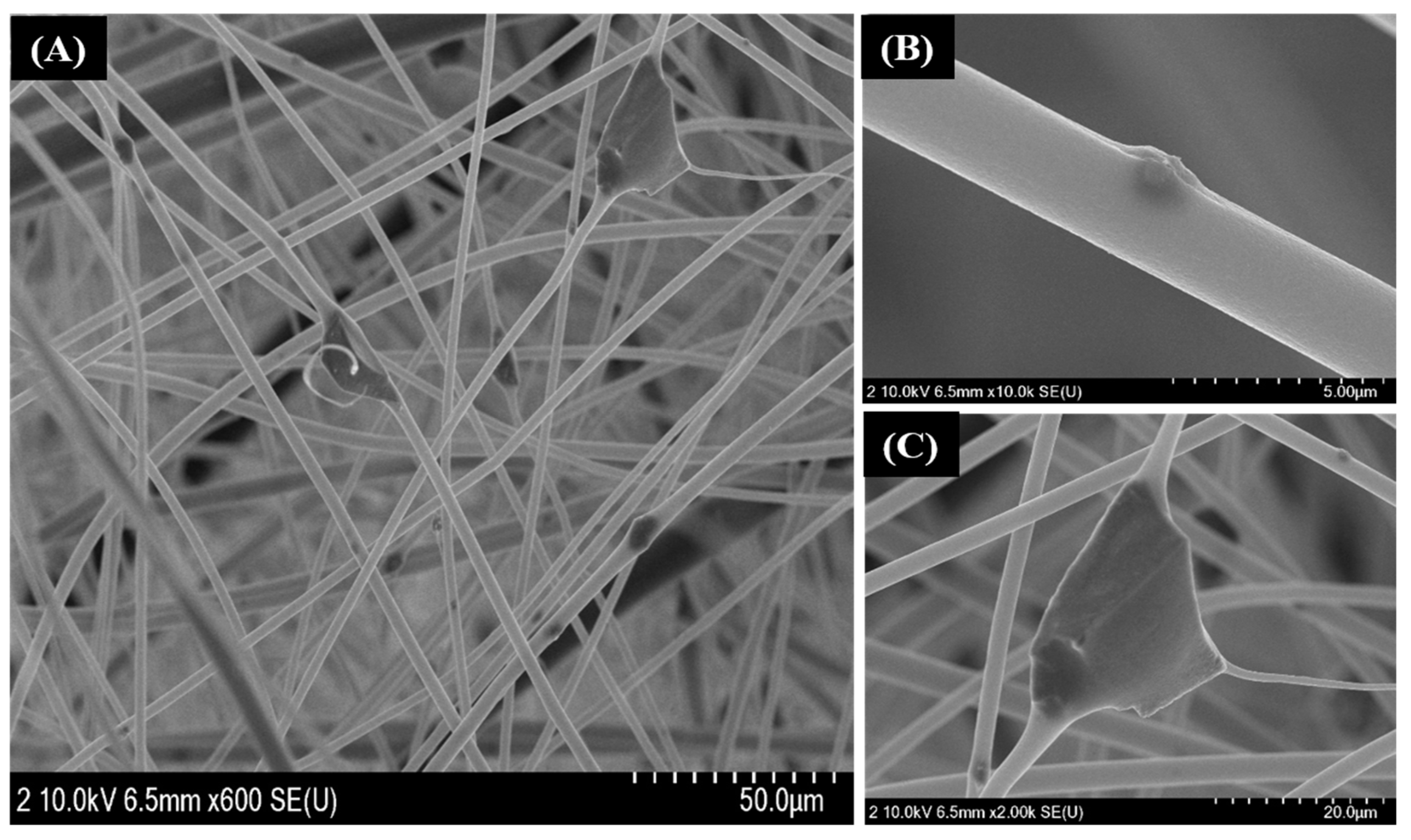 Nanomaterials 12 03811 g004