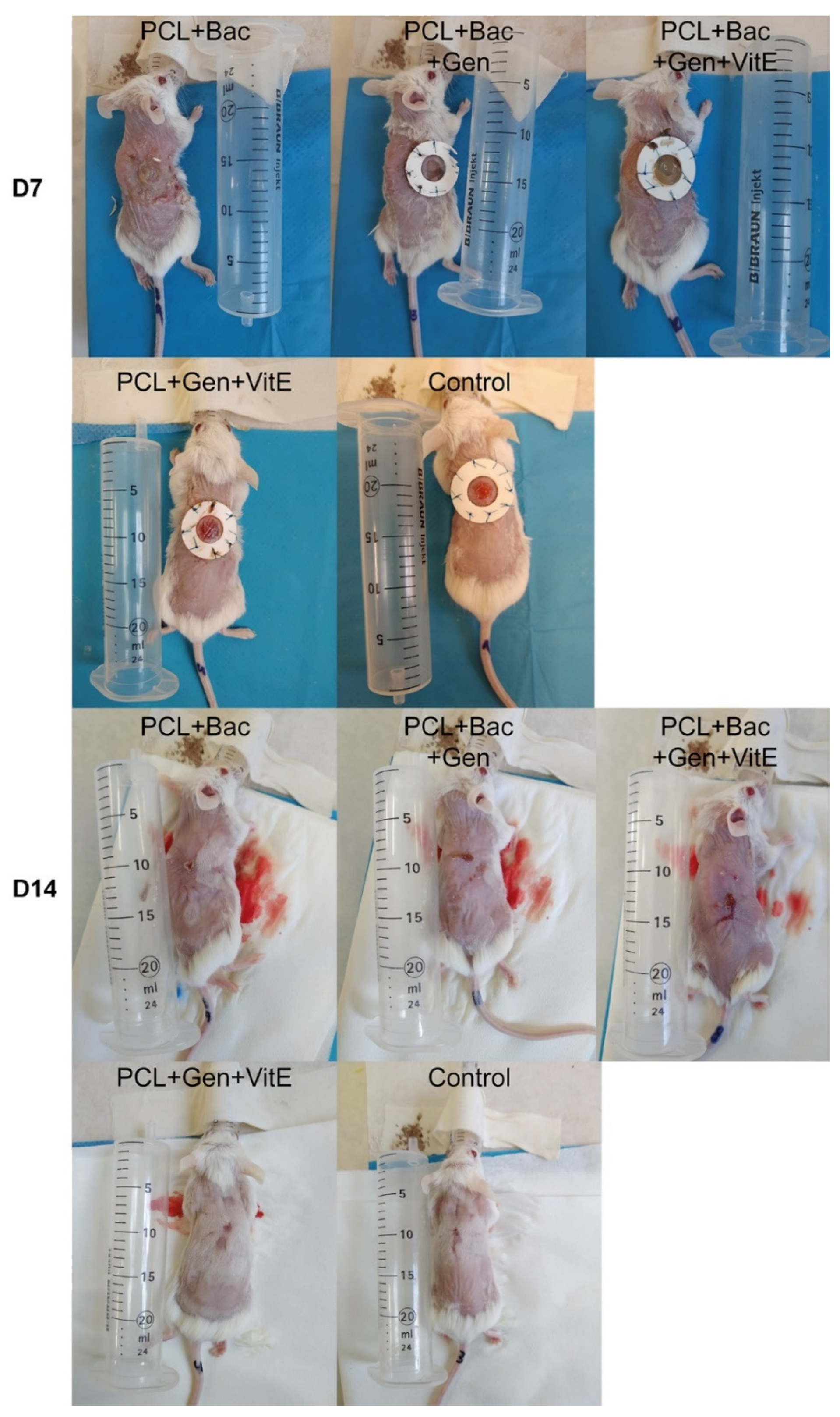 Nanomaterials 12 03824 g010