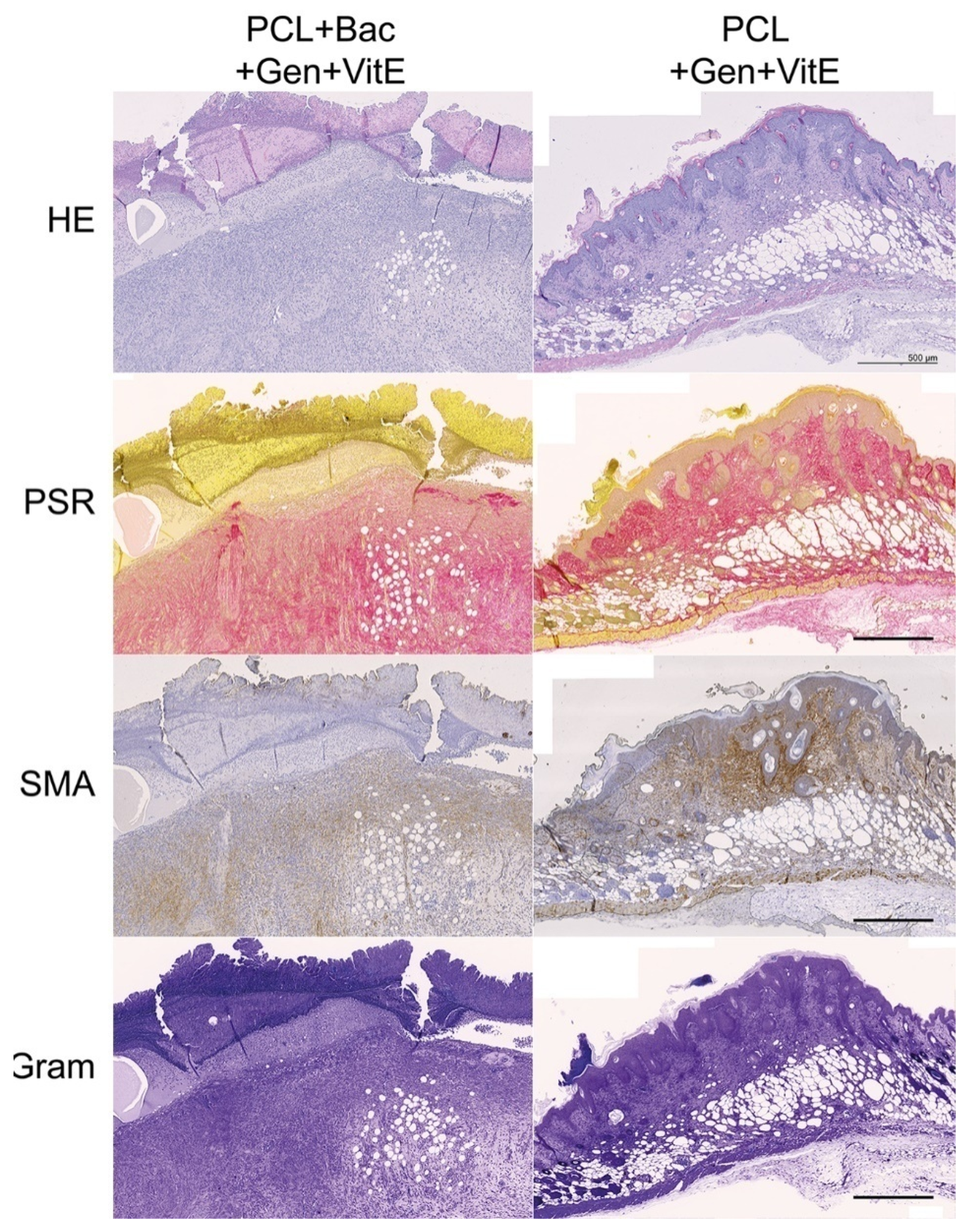 Nanomaterials 12 03824 g015