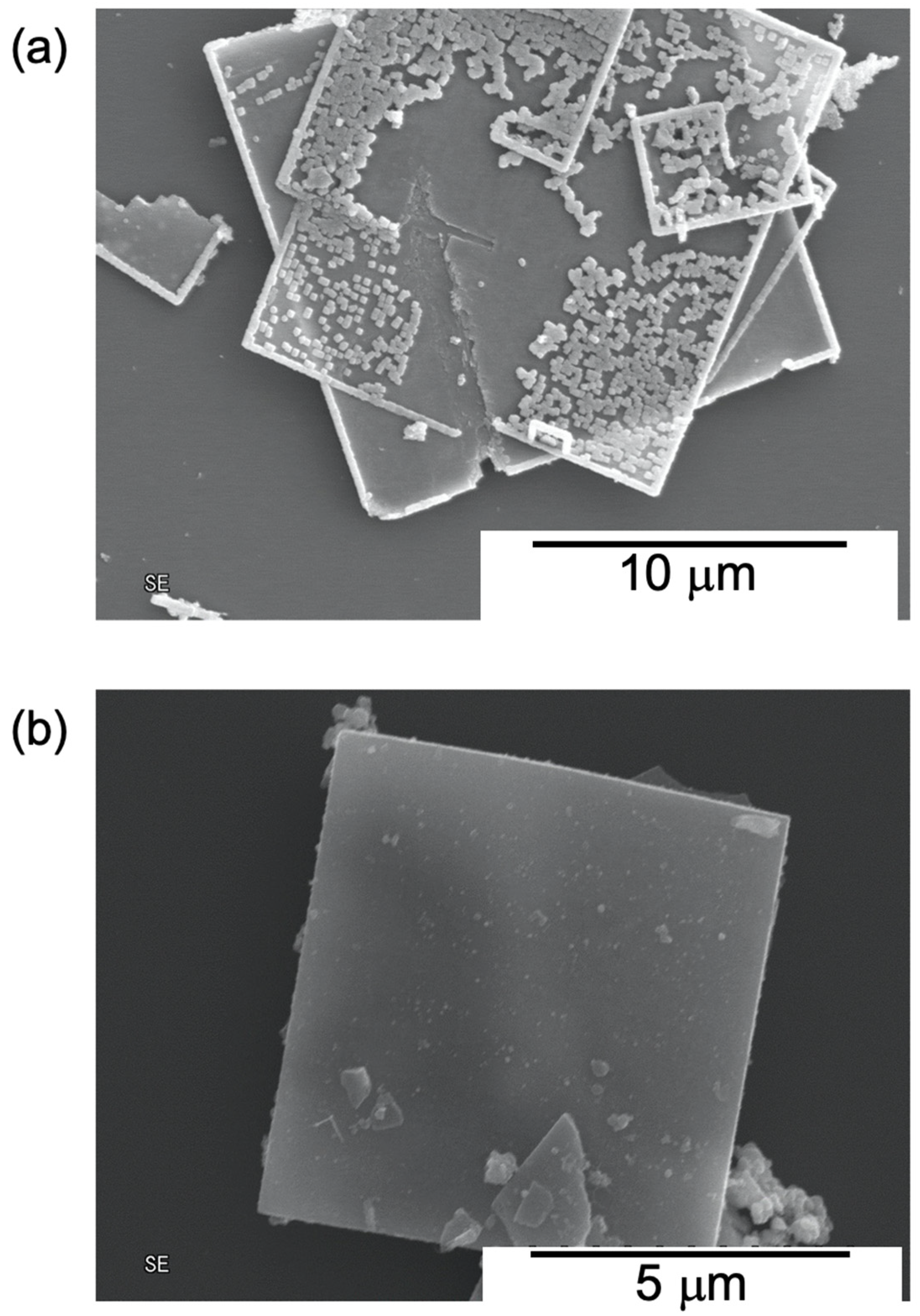 Nanomaterials 12 03826 g002