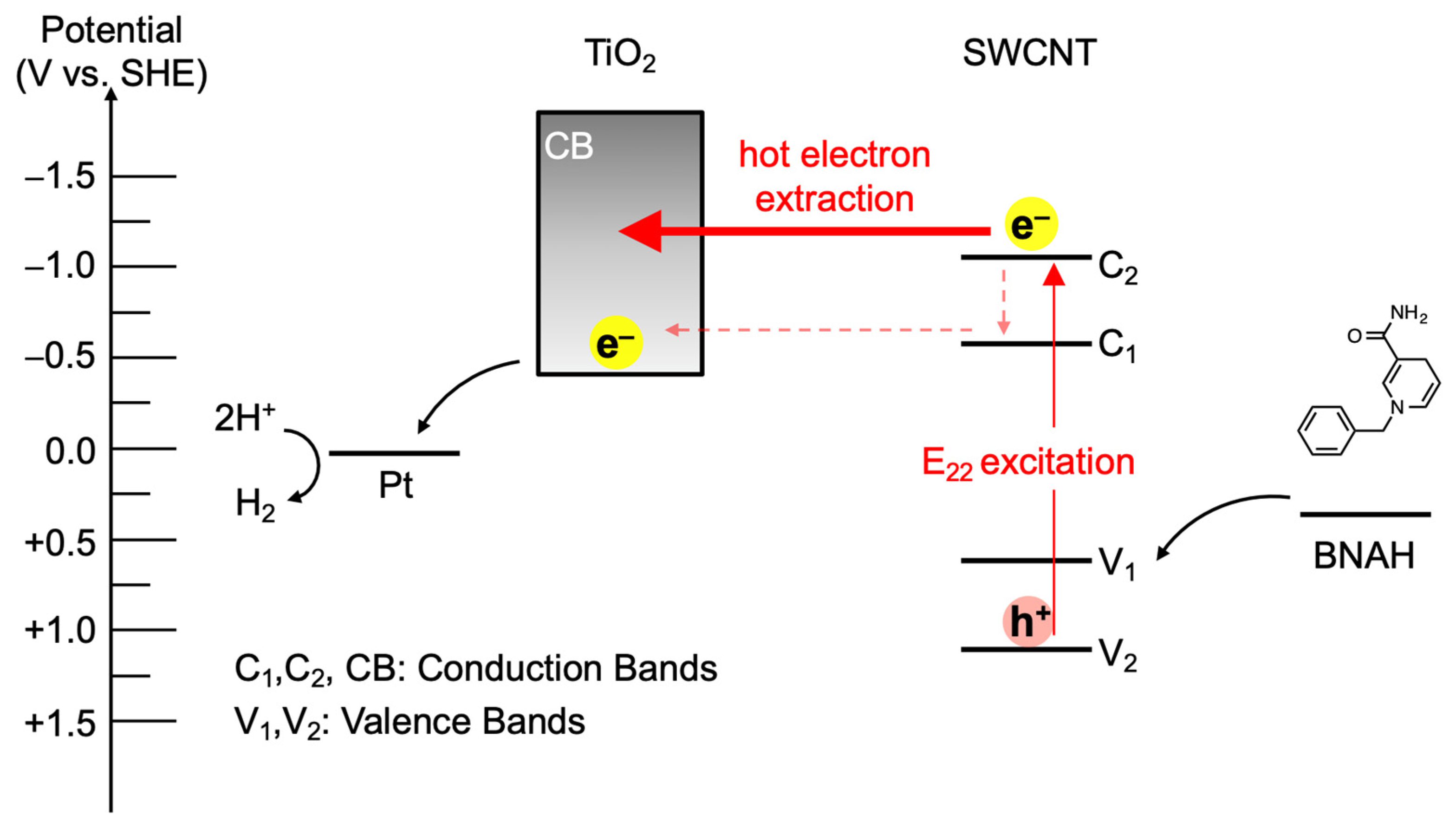 Nanomaterials 12 03826 g005