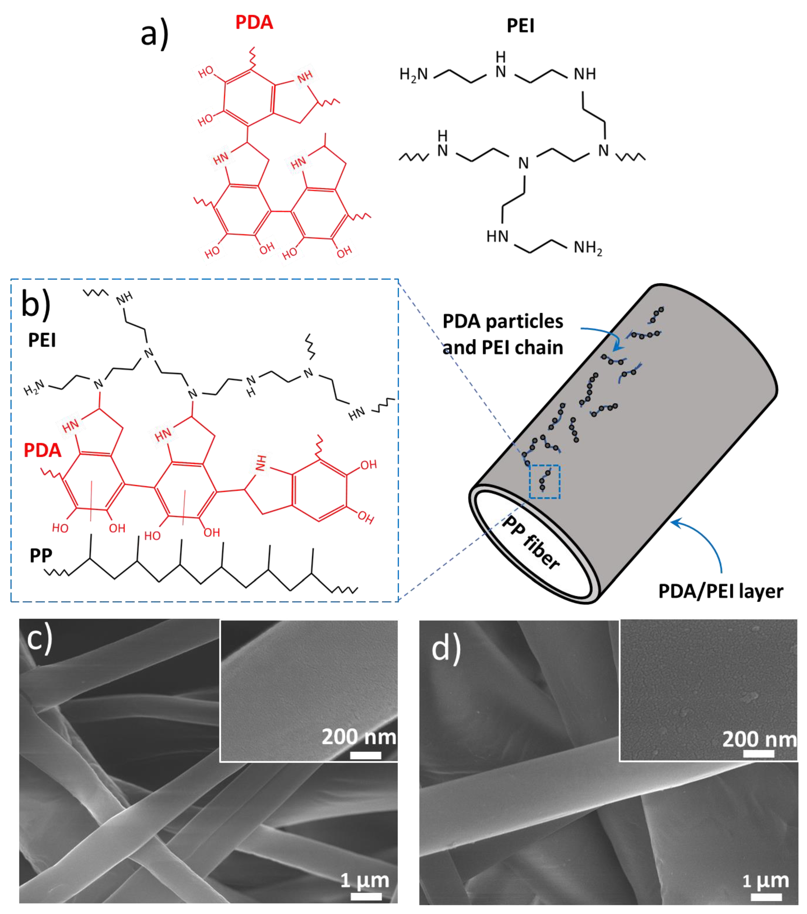Nanomaterials 12 03829 g002