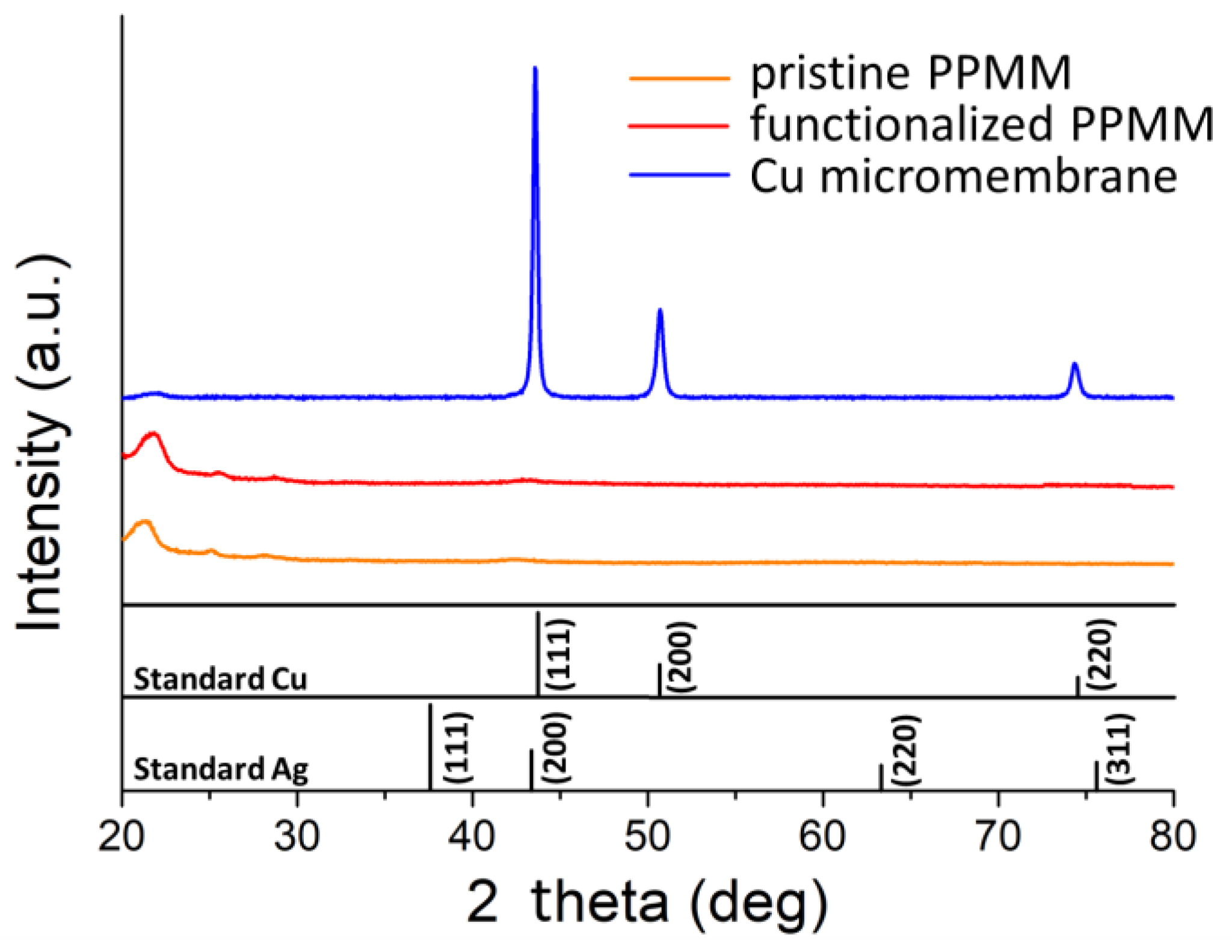 Nanomaterials 12 03829 g005