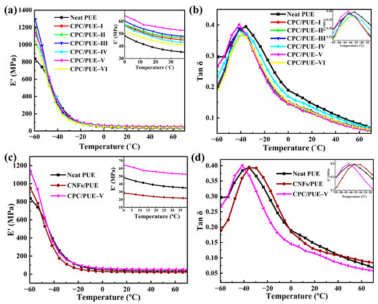 Study on Bone-like Microstructure Design of Carbon