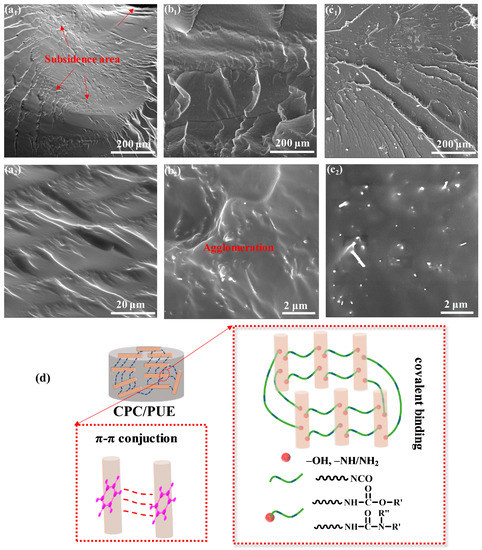 Study on Bone-like Microstructure Design of Carbon