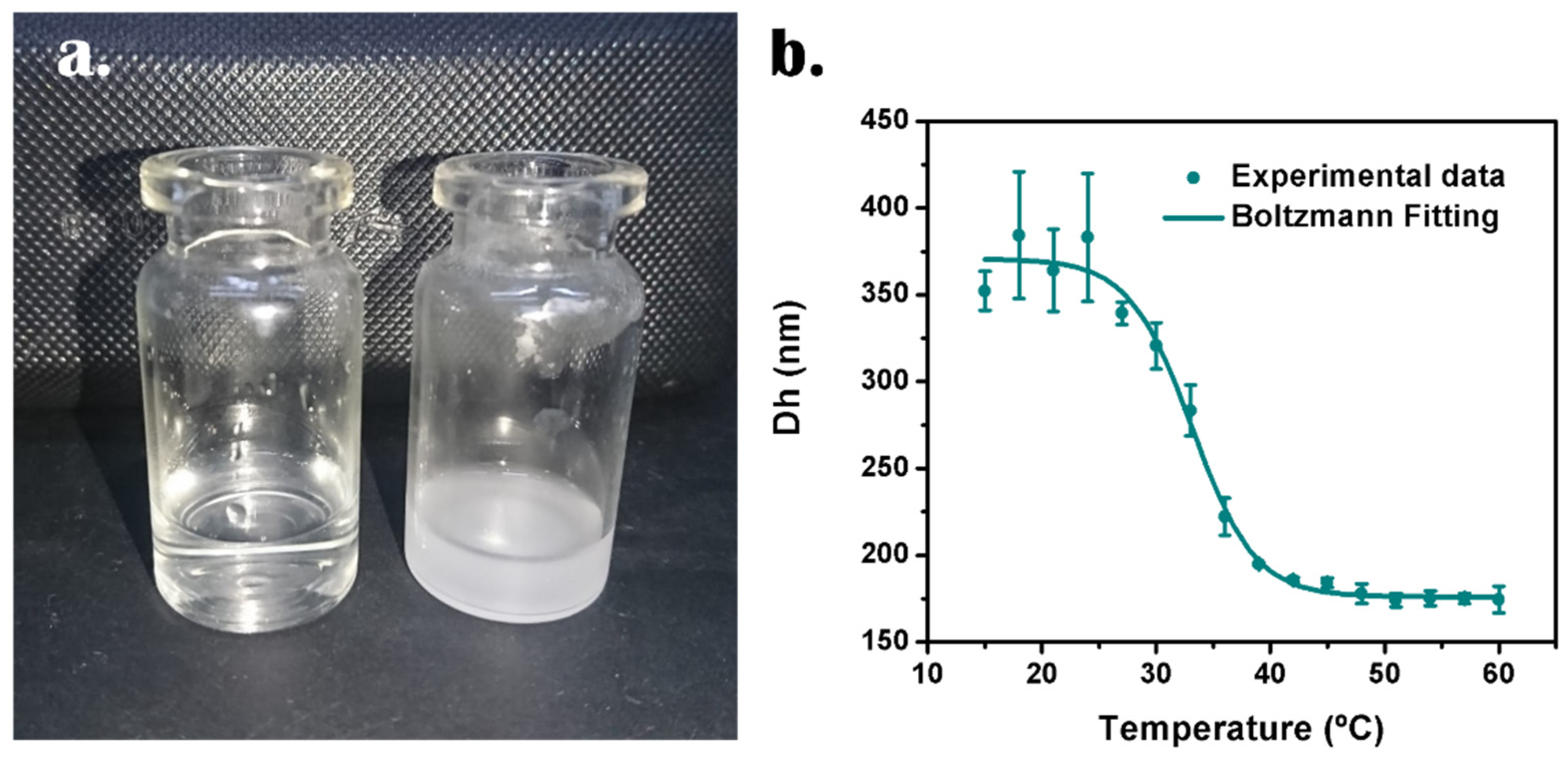Nanomaterials 12 03835 g005