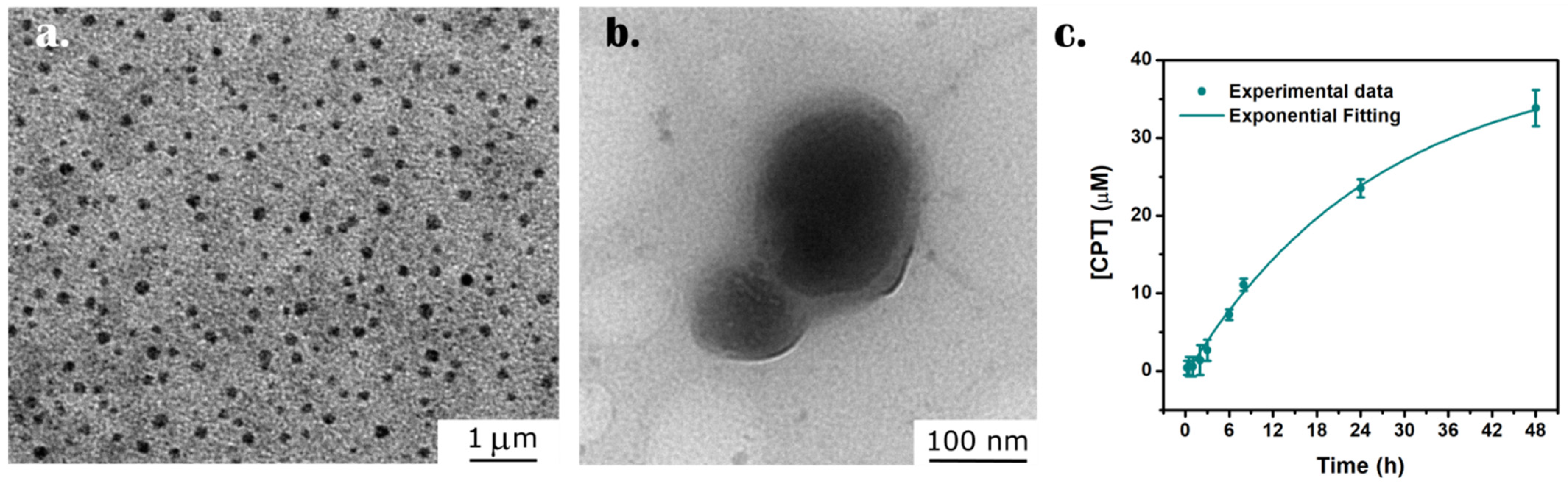 Nanomaterials 12 03835 g006