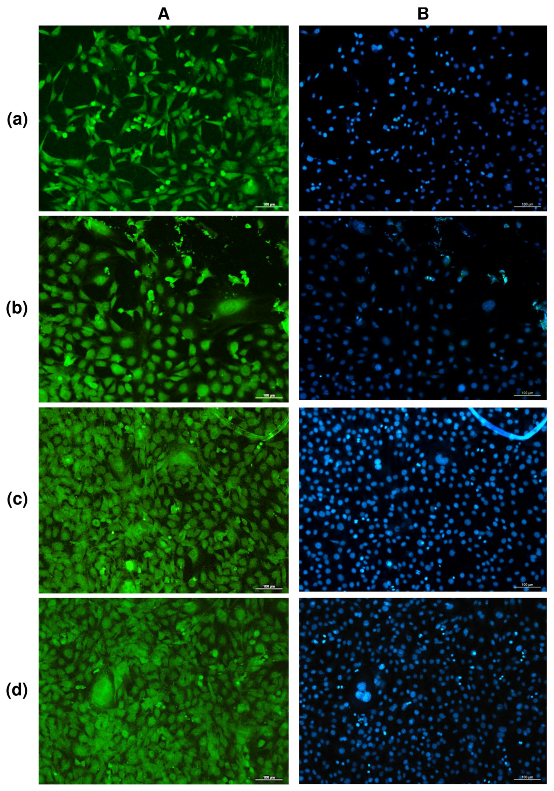 Nanomaterials 12 03843 g003