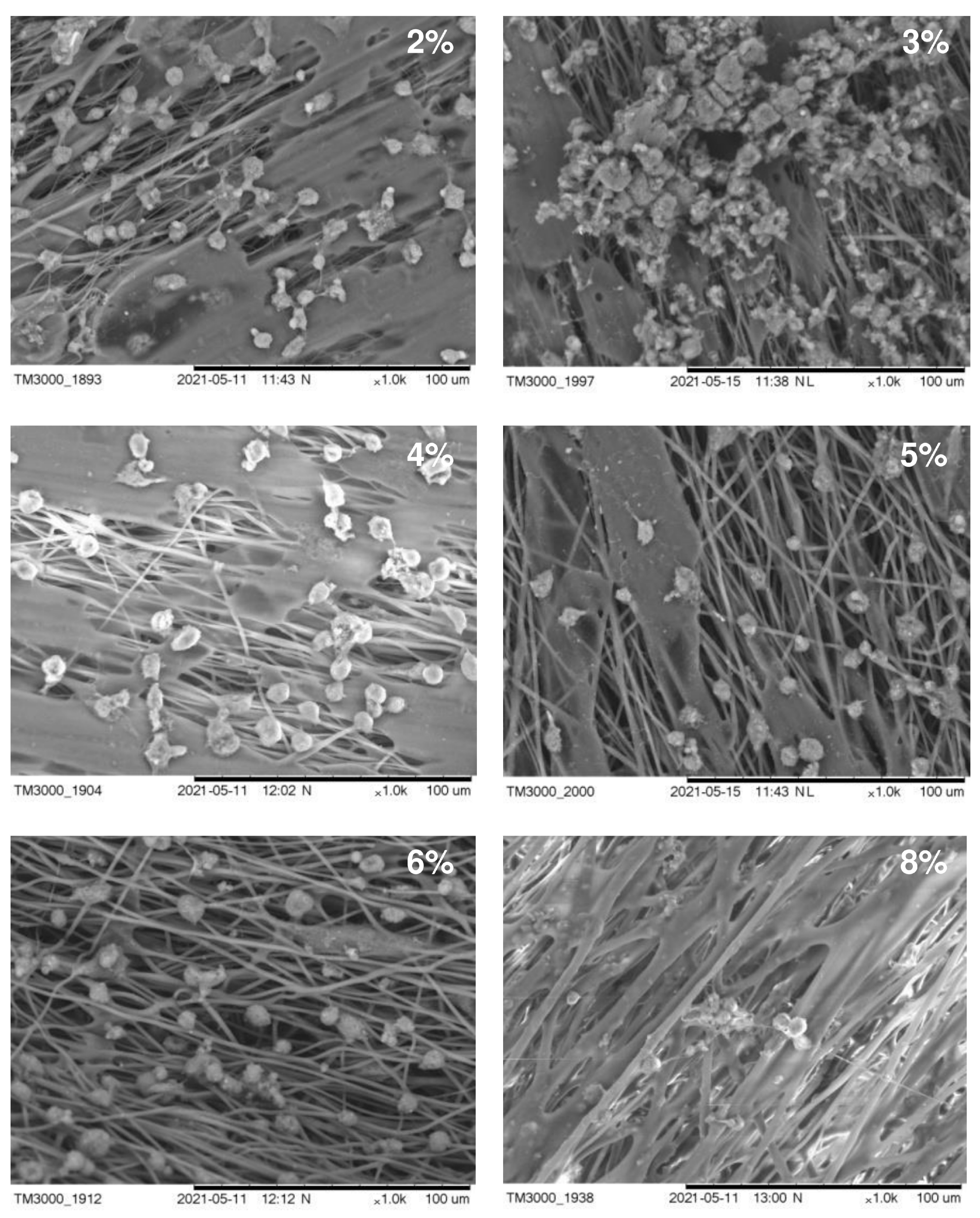 Nanomaterials 12 03843 g004