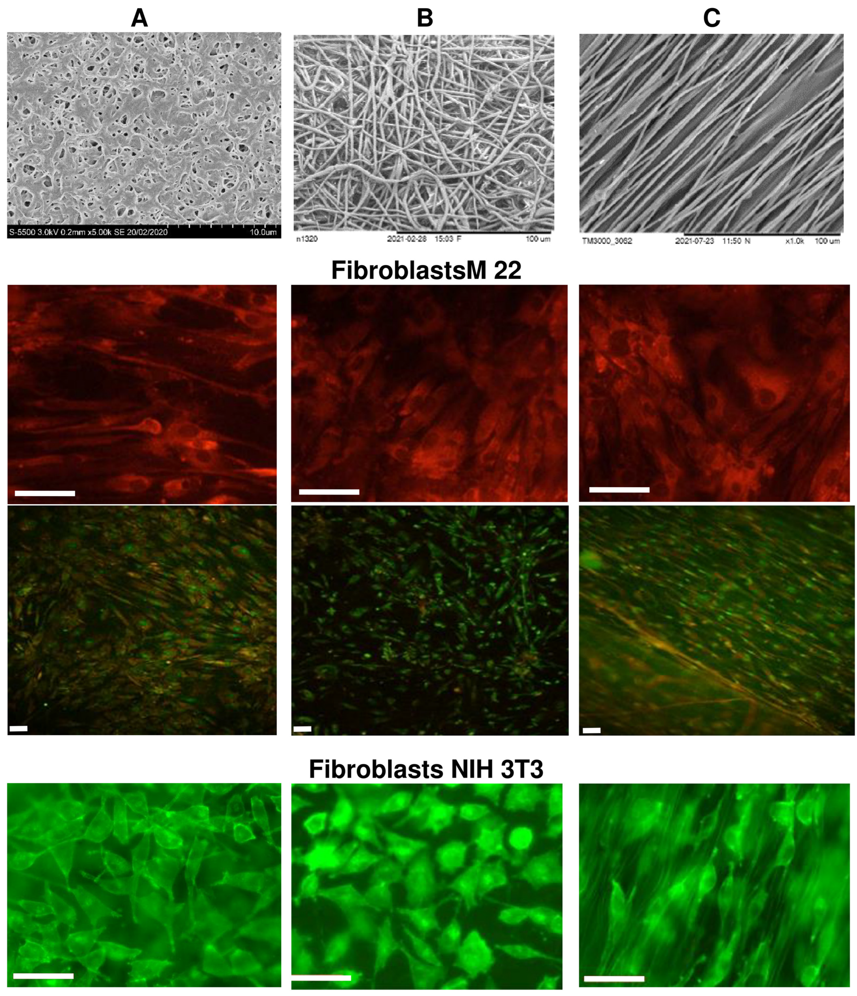 Nanomaterials 12 03843 g006