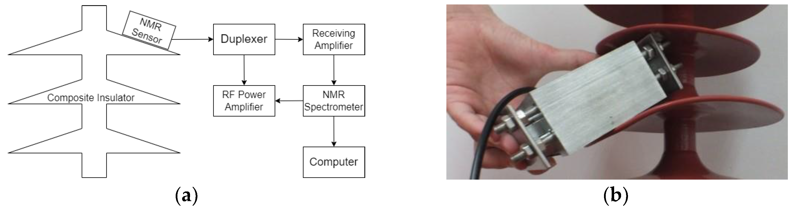 Nanomaterials 12 03847 g012