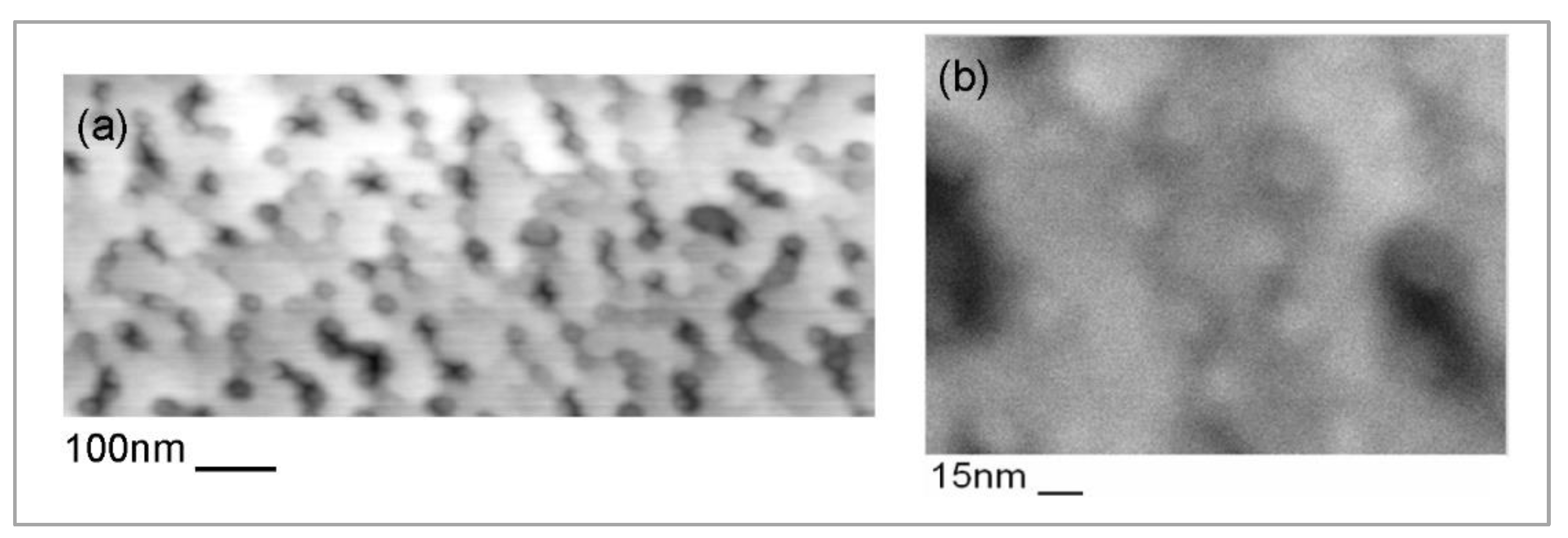 Nanomaterials 12 03850 g005