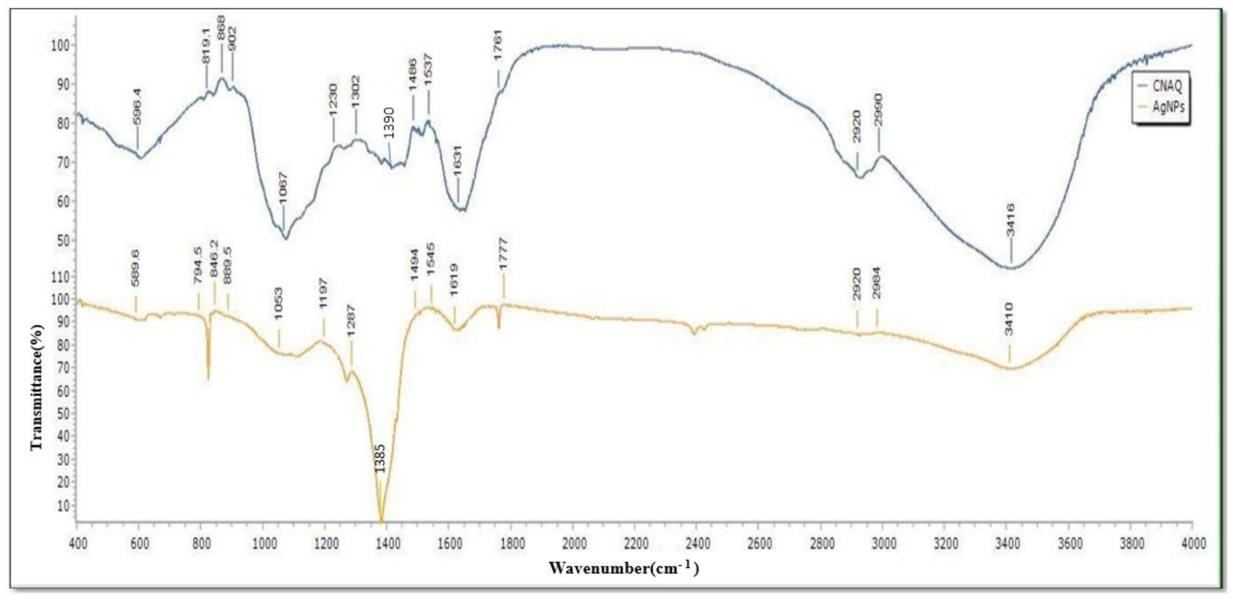 Nanomaterials 12 03851 g003 Nanomaterials 12 03851 g003