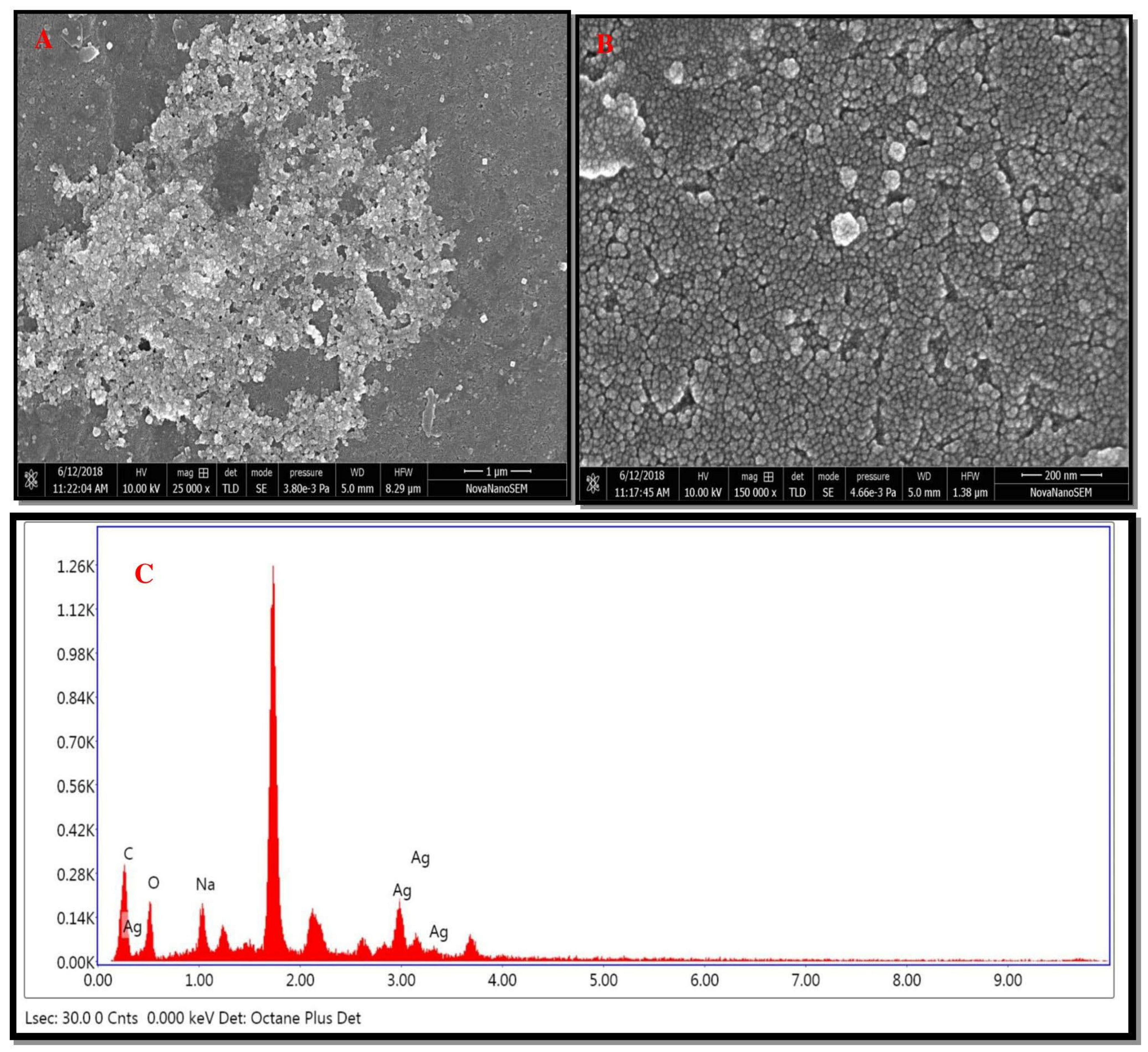 Nanomaterials 12 03851 g006 Nanomaterials 12 03851 g006