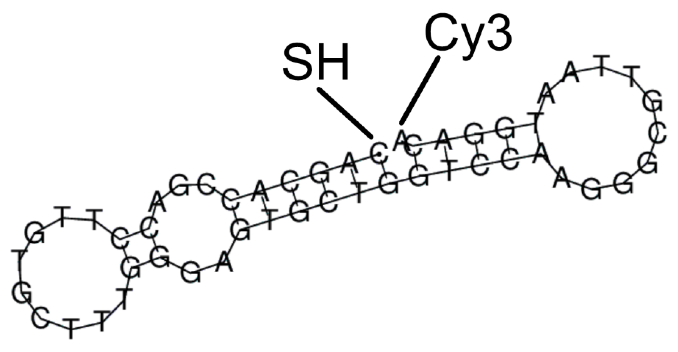 Nanomaterials 12 03854 g001 Nanomaterials 12 03854 g001