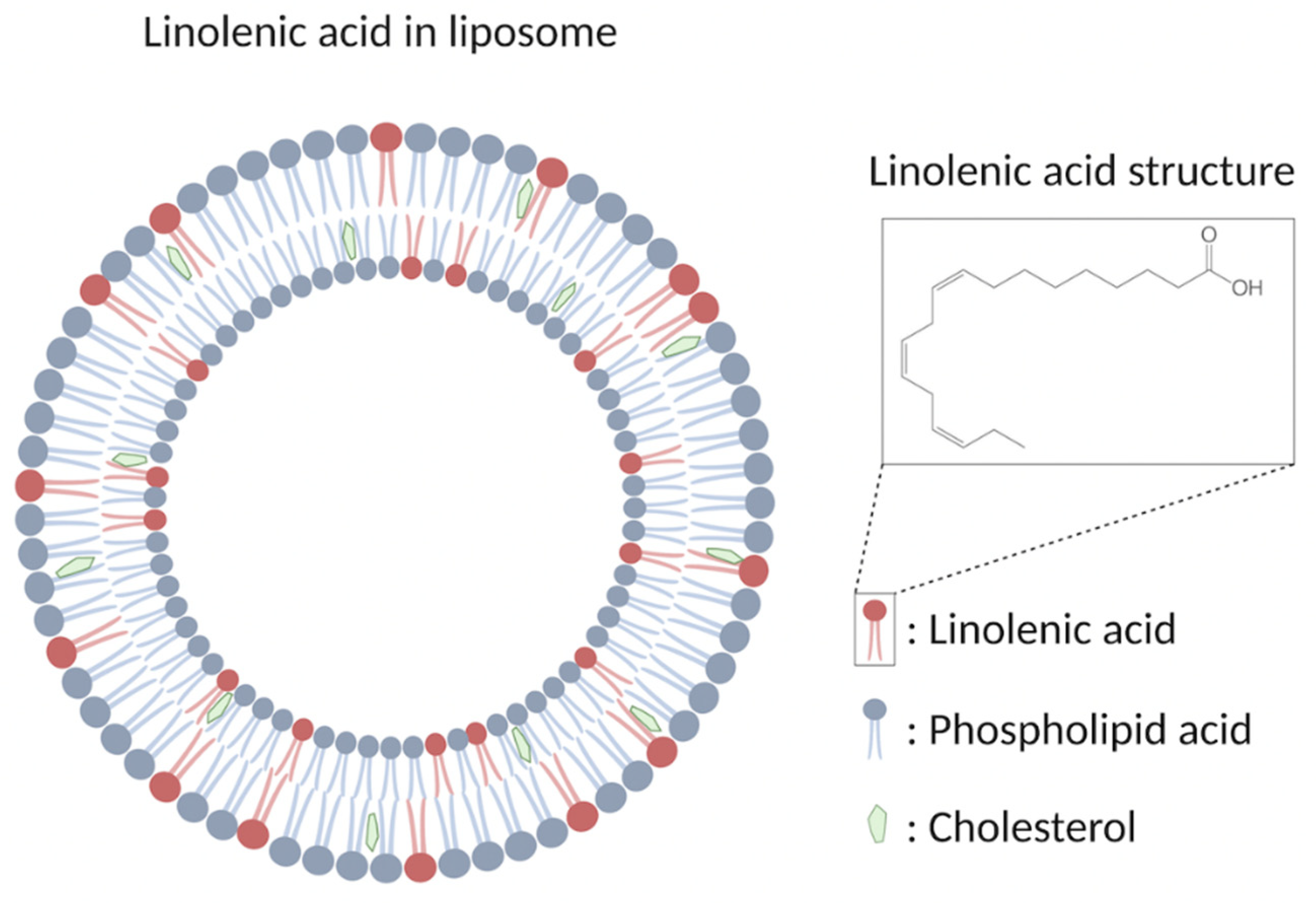 Nanomaterials 12 03855 g002 Nanomaterials 12 03855 g002