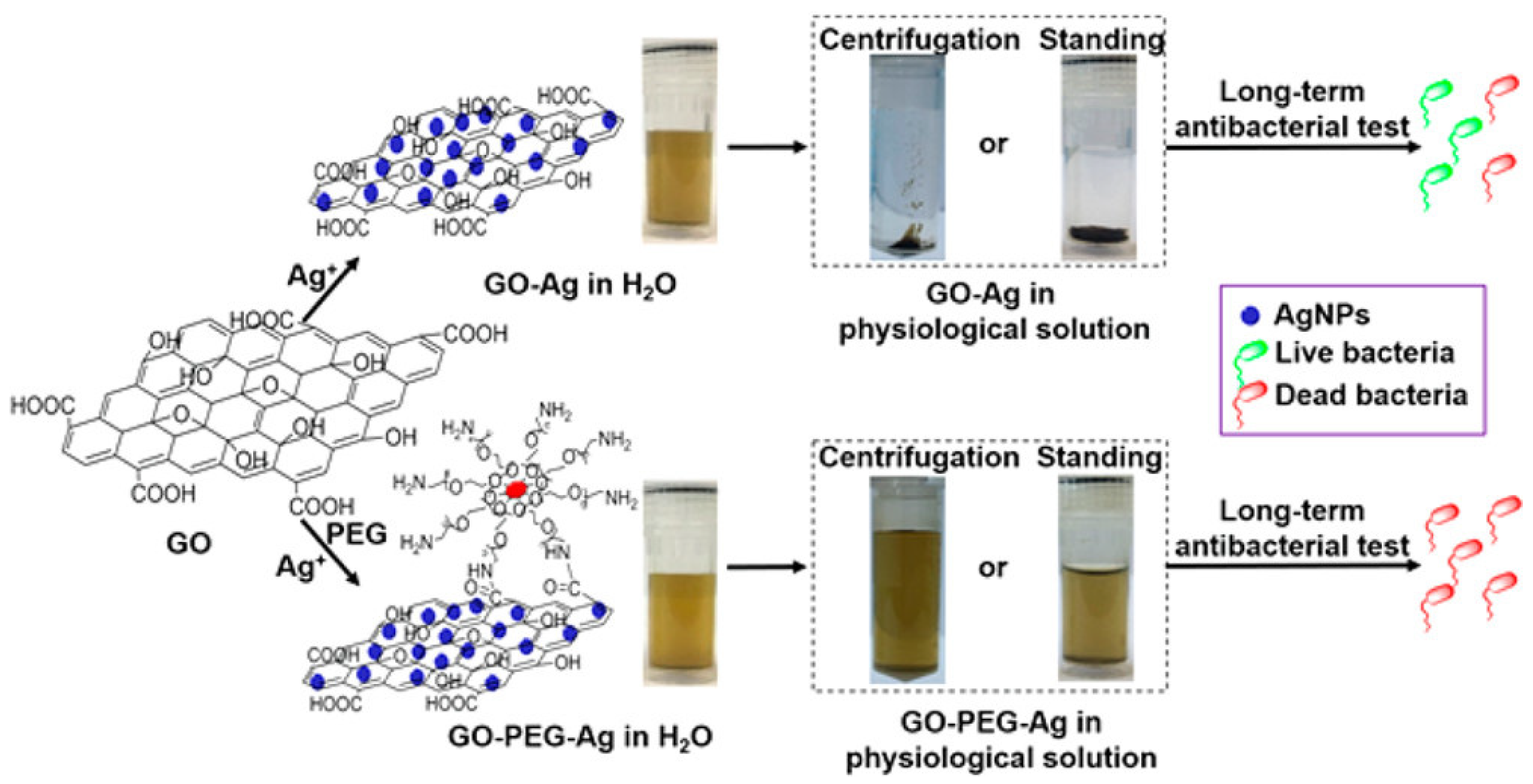 Nanomaterials 12 03855 g008 Nanomaterials 12 03855 g008