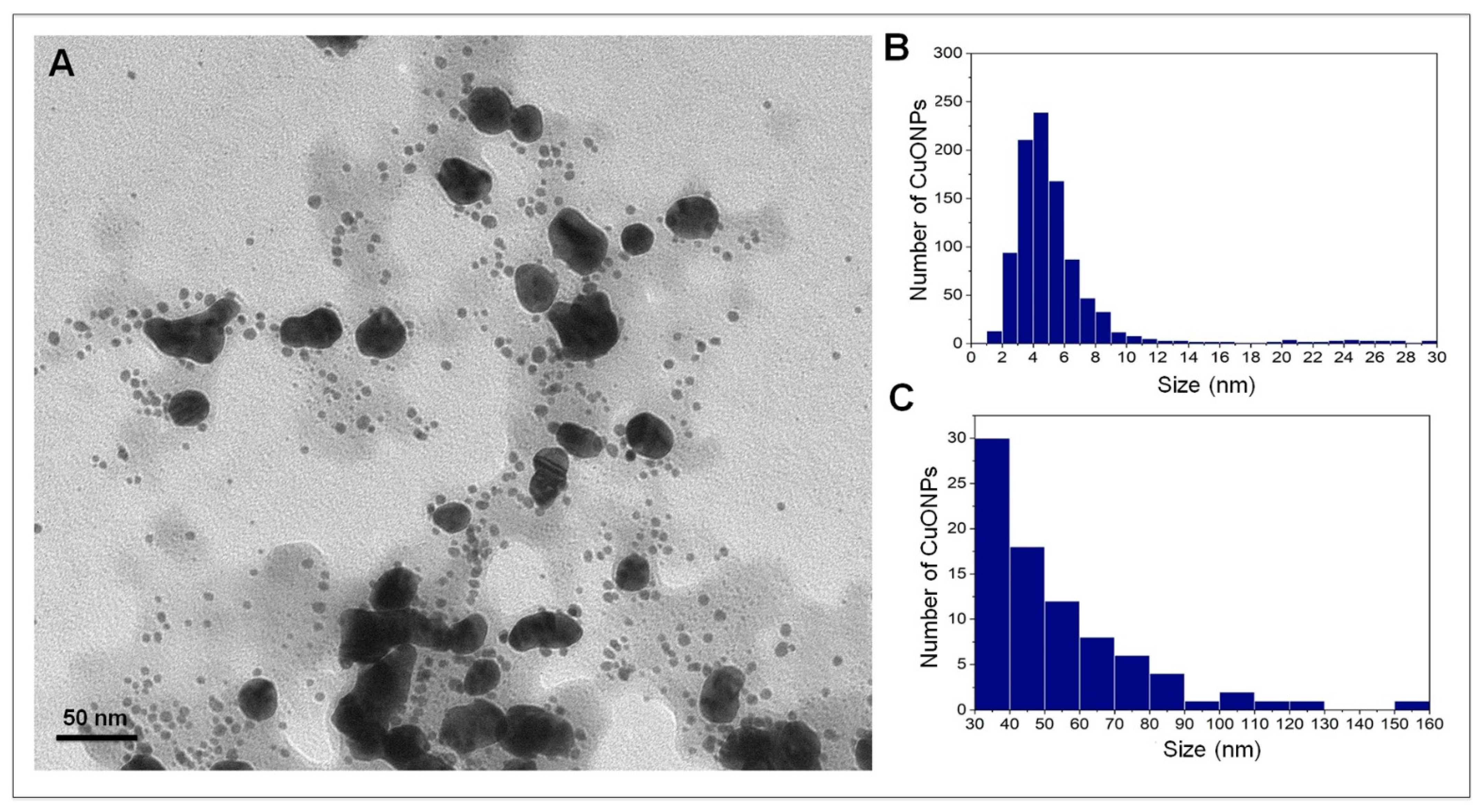 Nanomaterials 12 03856 g002 Nanomaterials 12 03856 g002