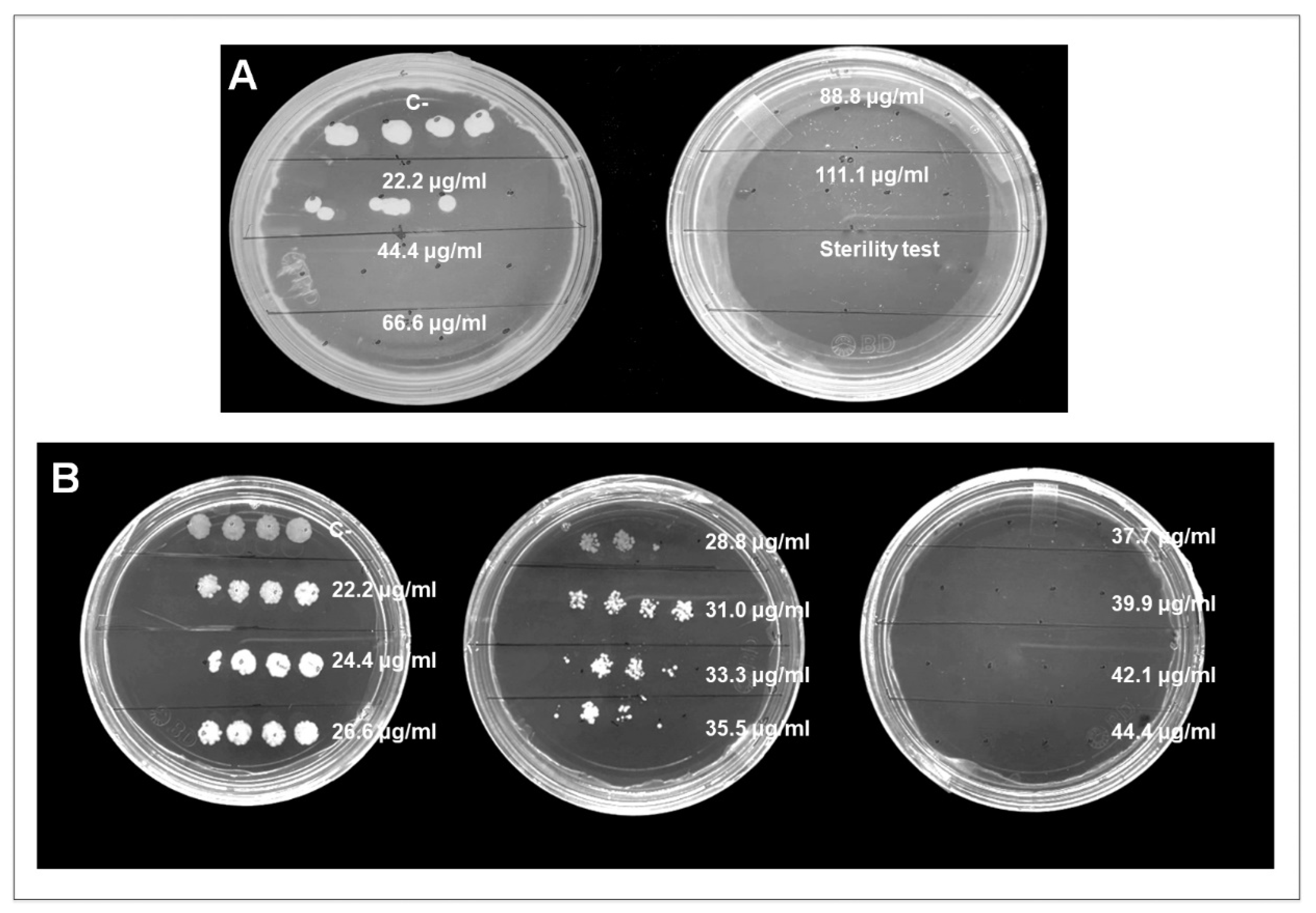 Nanomaterials 12 03856 g005 Nanomaterials 12 03856 g005