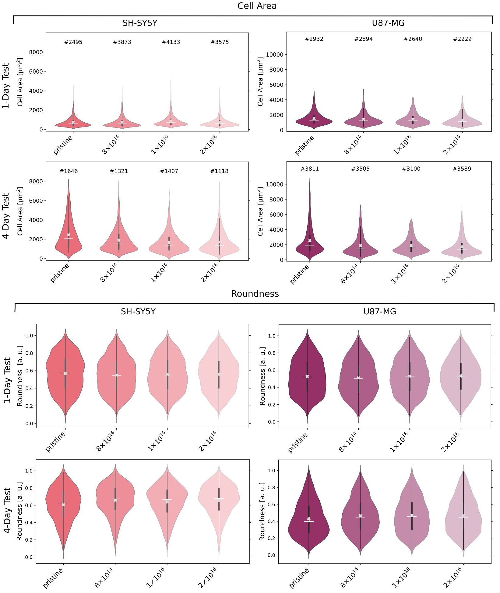 Nanomaterials 12 03858 g004