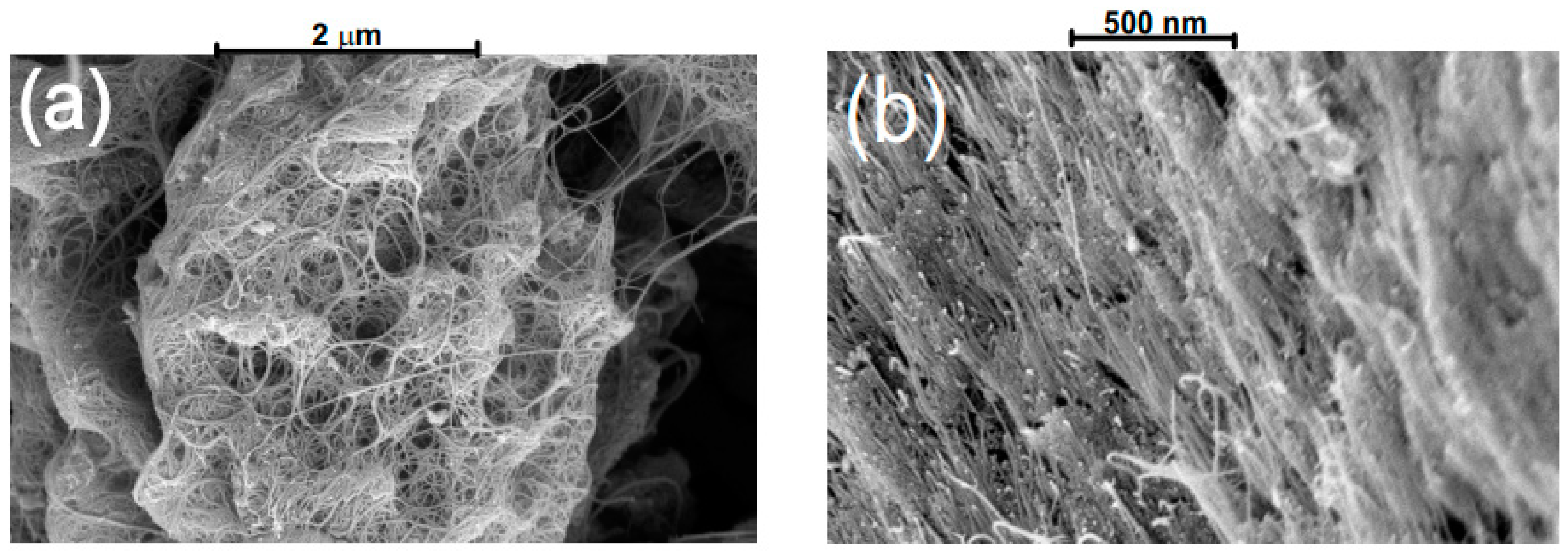 Nanomaterials 12 03864 g001 Nanomaterials 12 03864 g001