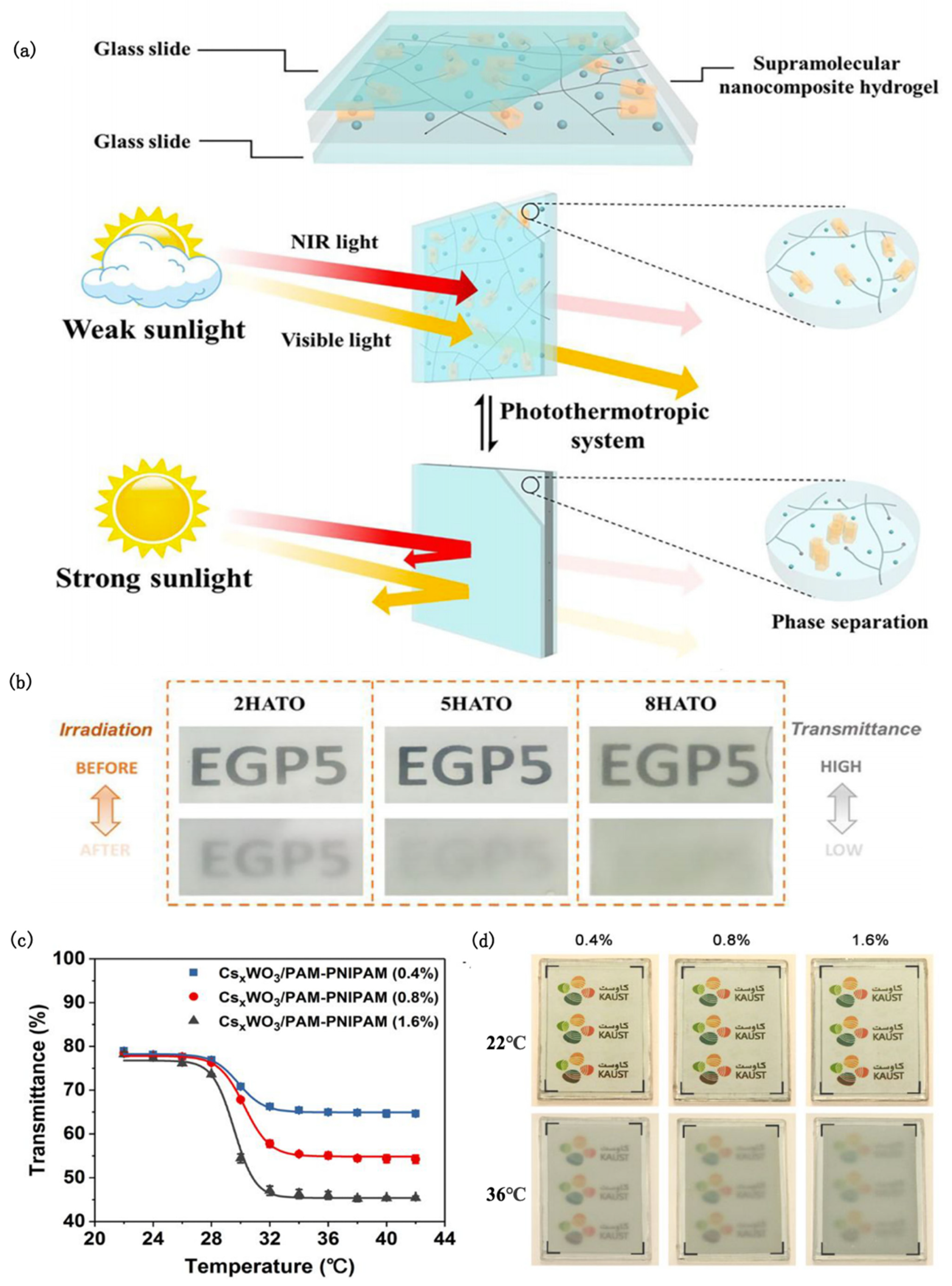 Nanomaterials 12 03865 g004