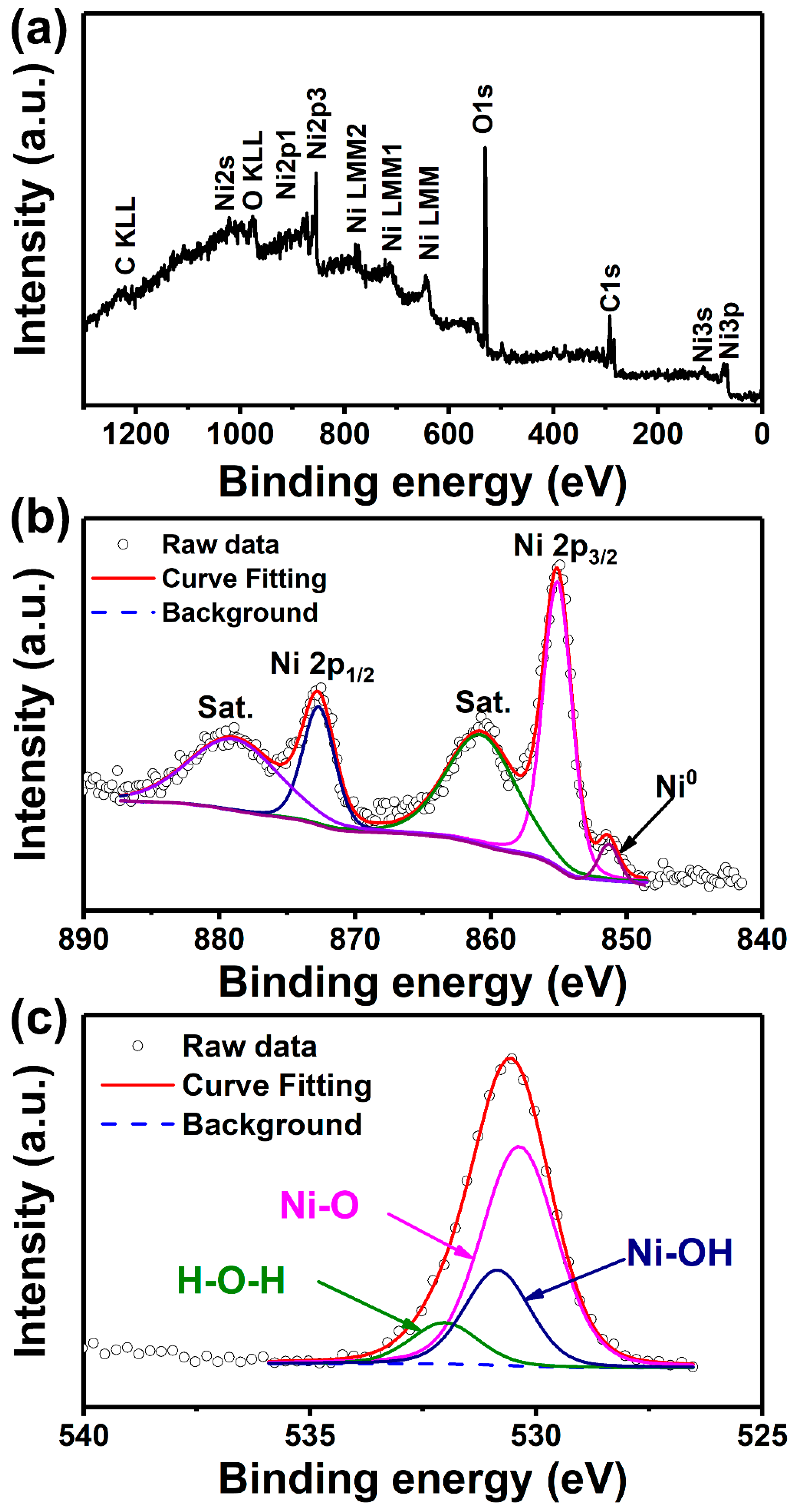 Nanomaterials 12 03867 g003