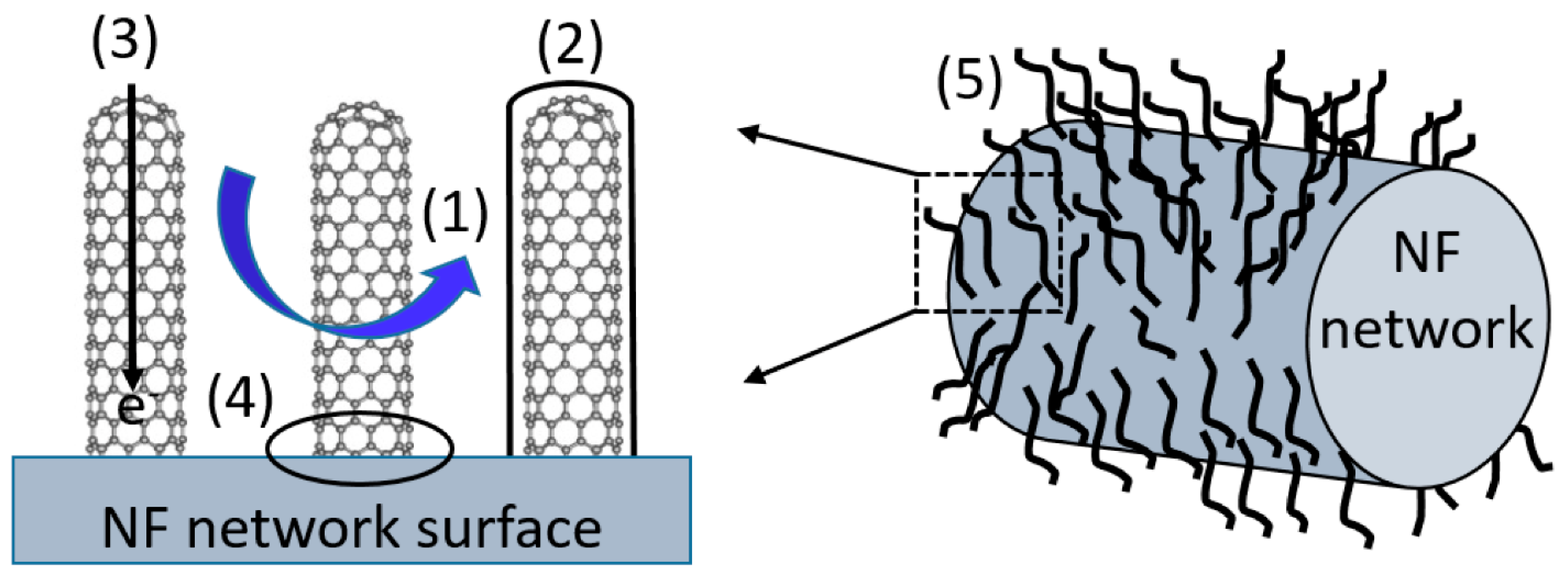 Nanomaterials 12 03867 g007