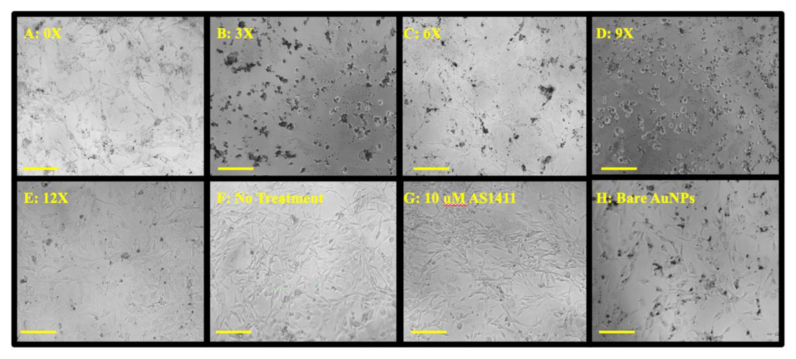 Nanomaterials 12 03869 g006 Nanomaterials 12 03869 g006
