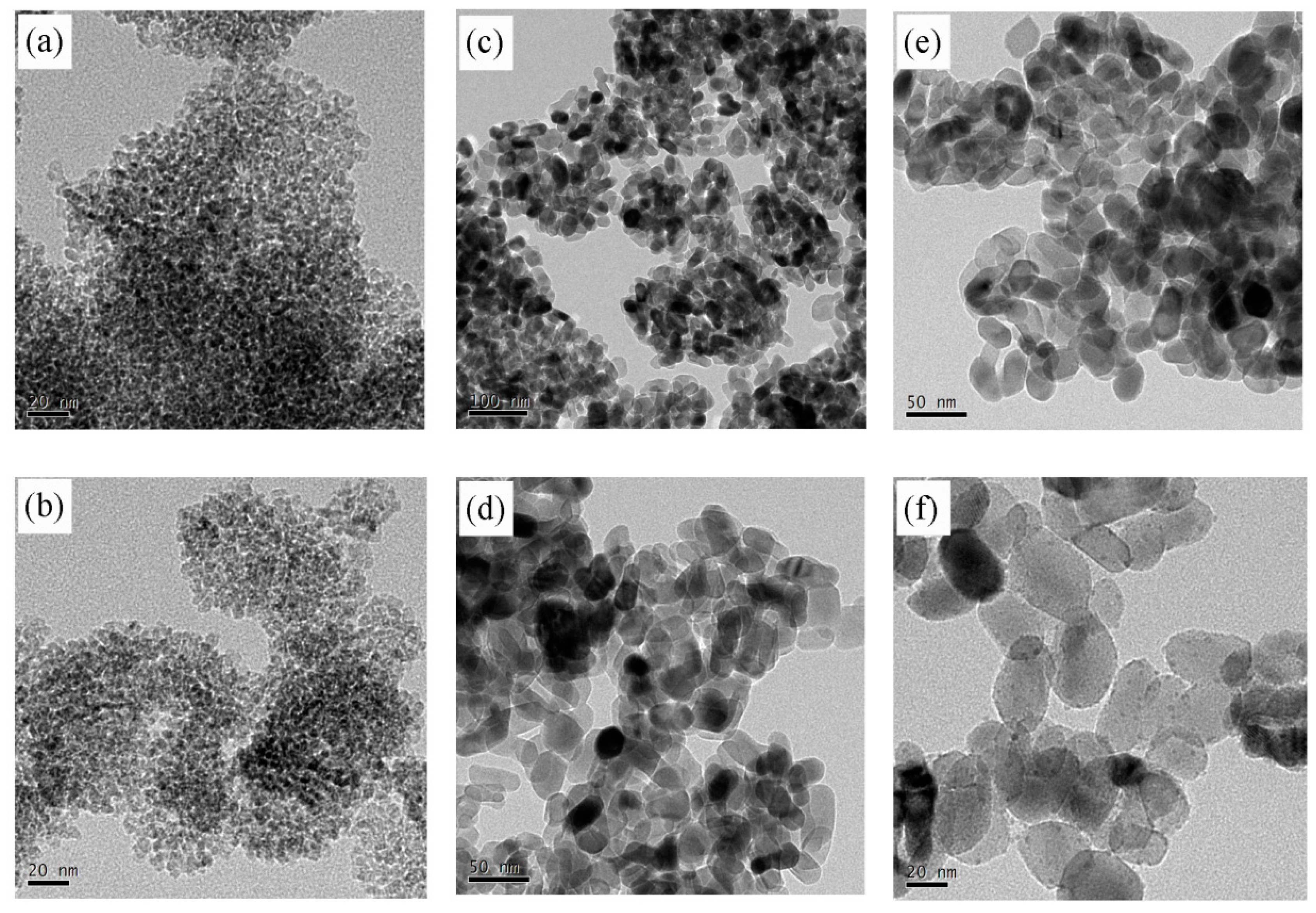 Nanomaterials 12 03870 g002