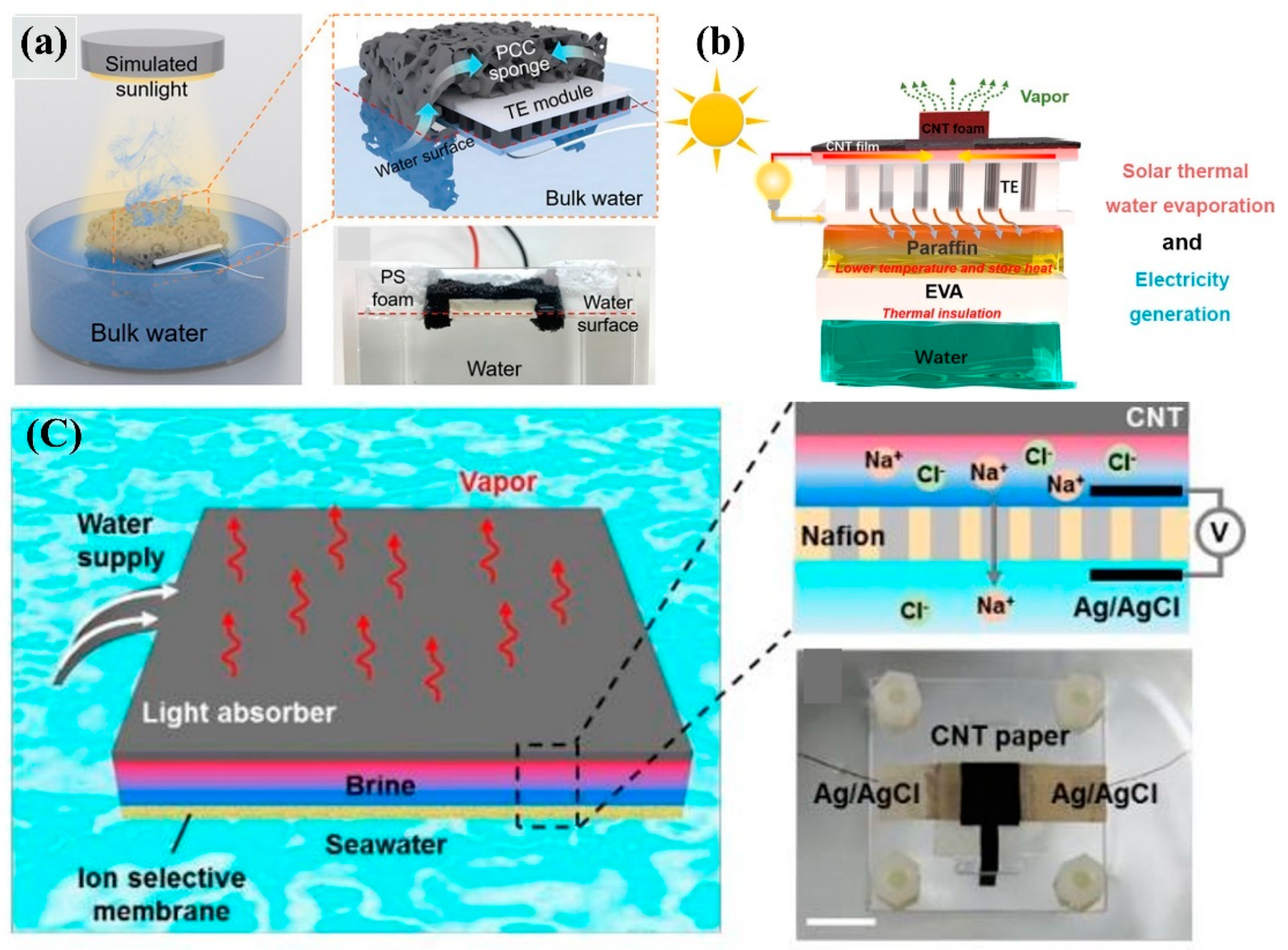 Nanomaterials 12 03871 g008 Nanomaterials 12 03871 g008