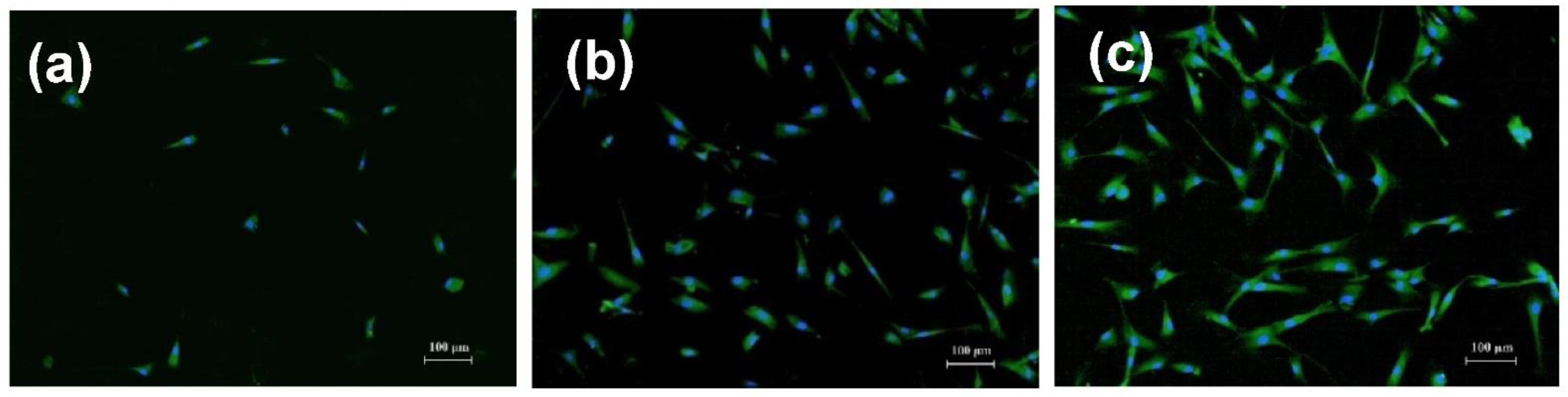 Nanomaterials 12 03873 g004 Nanomaterials 12 03873 g004