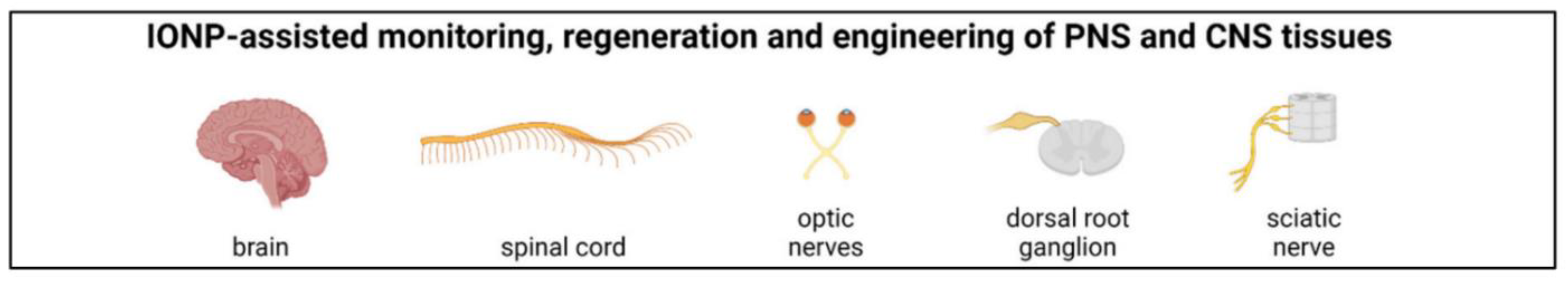 Nanomaterials 12 03873 g007 Nanomaterials 12 03873 g007