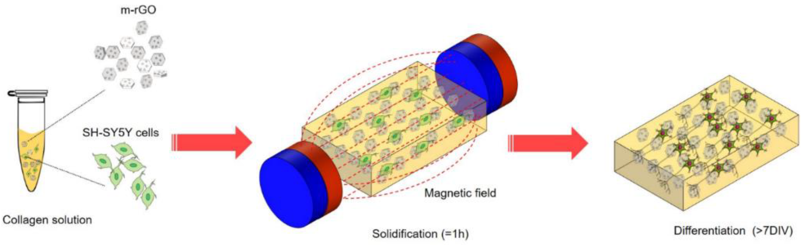 Nanomaterials 12 03873 g008 Nanomaterials 12 03873 g008