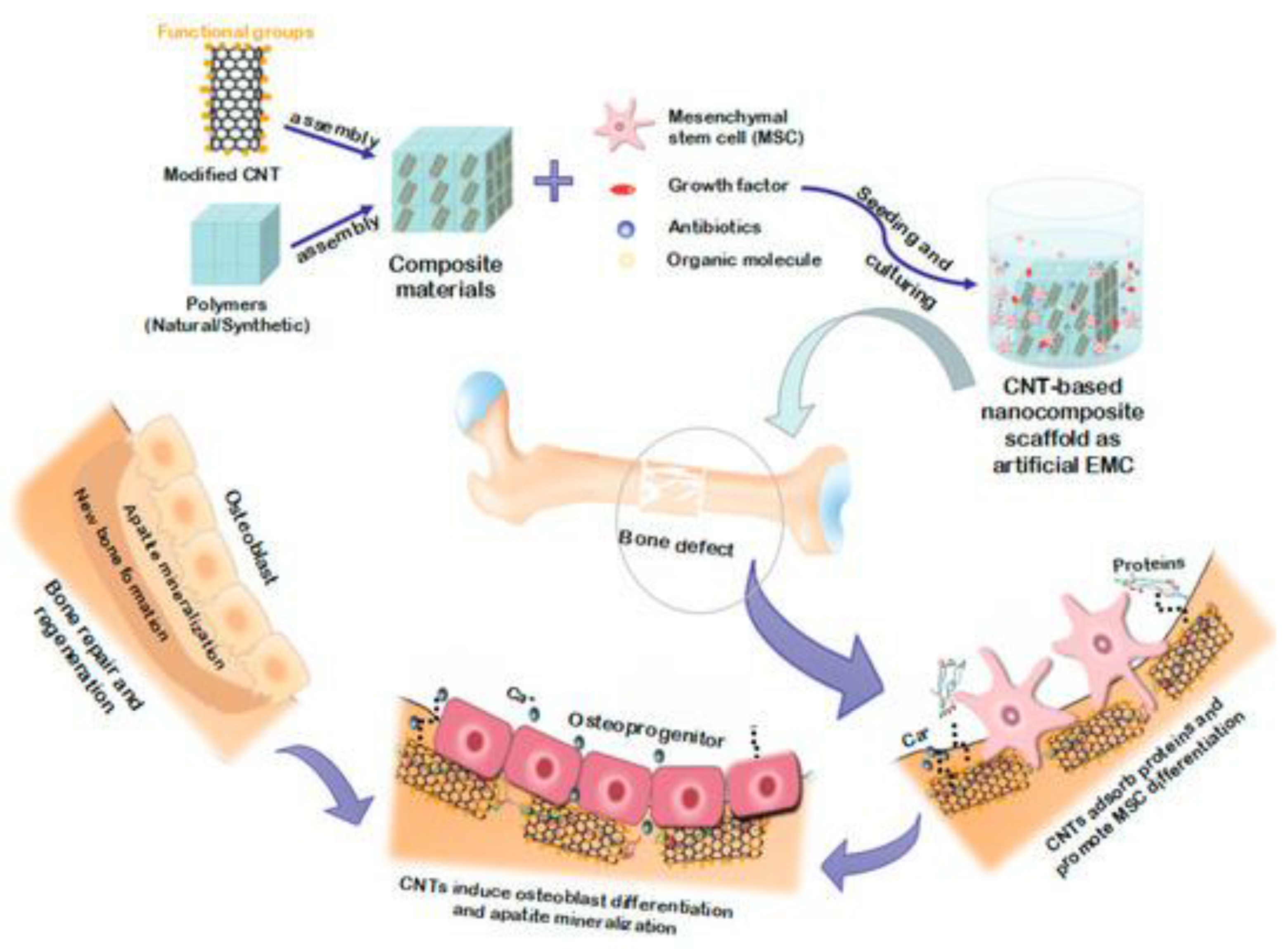 Nanomaterials 12 03873 g009 Nanomaterials 12 03873 g009