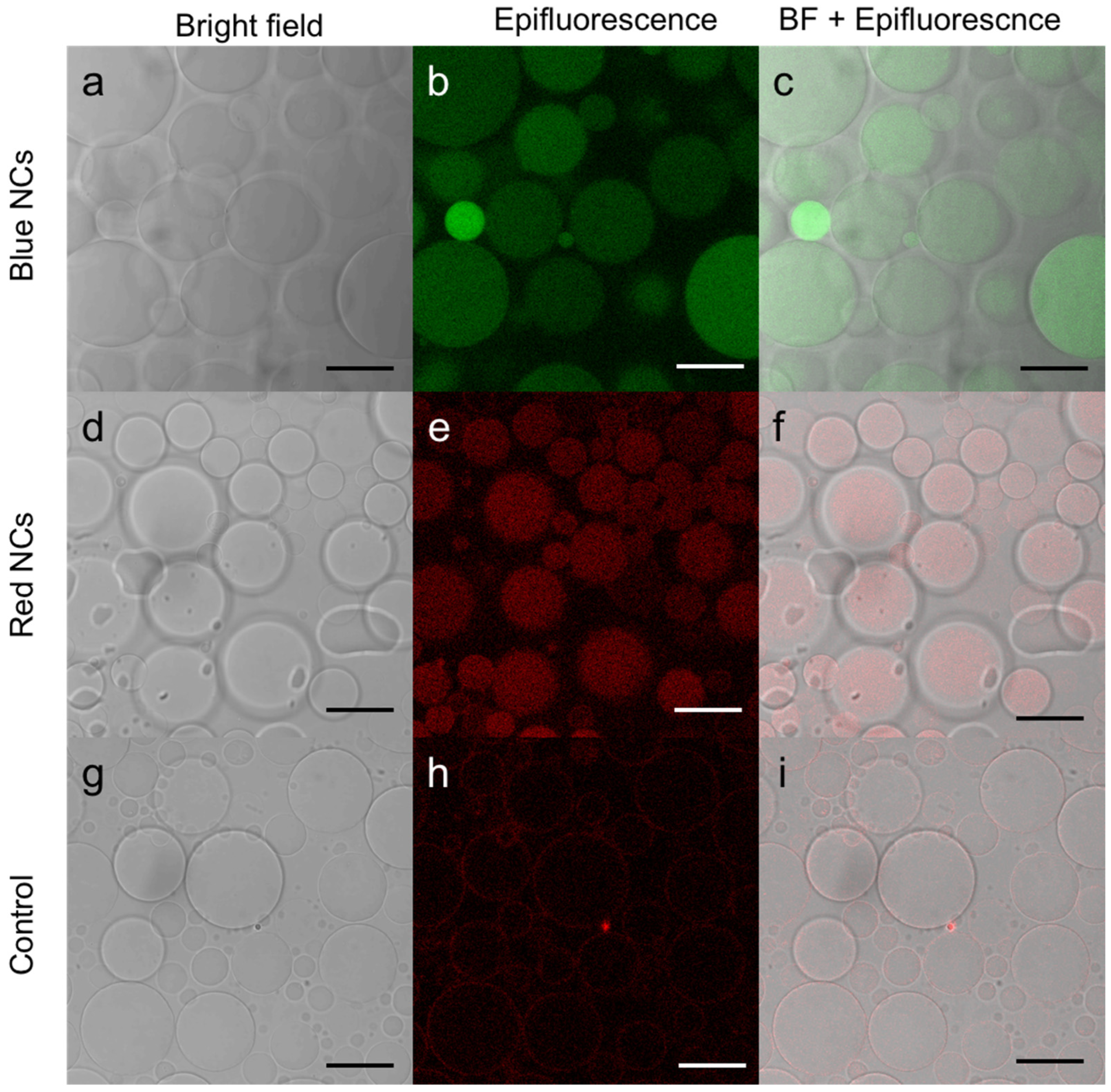 Nanomaterials 12 03875 g003 Nanomaterials 12 03875 g003