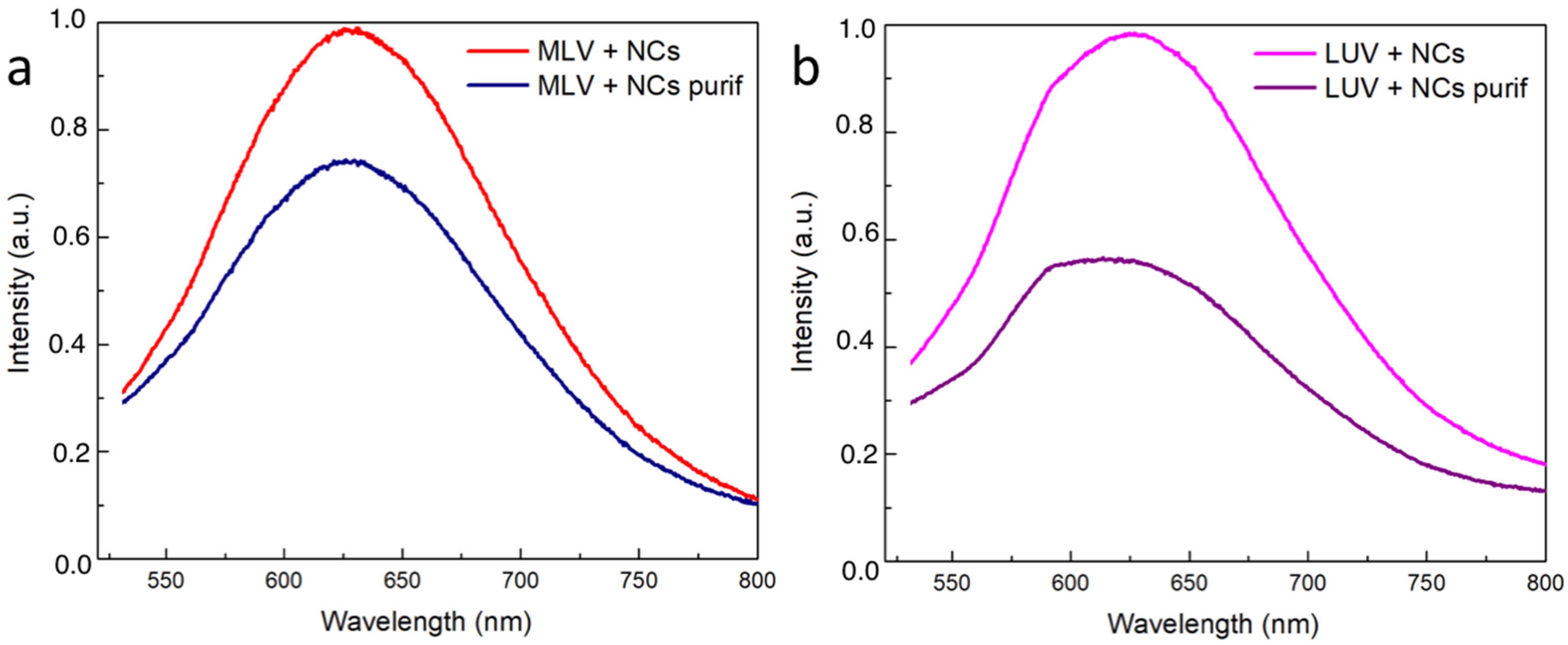 Nanomaterials 12 03875 g008 Nanomaterials 12 03875 g008