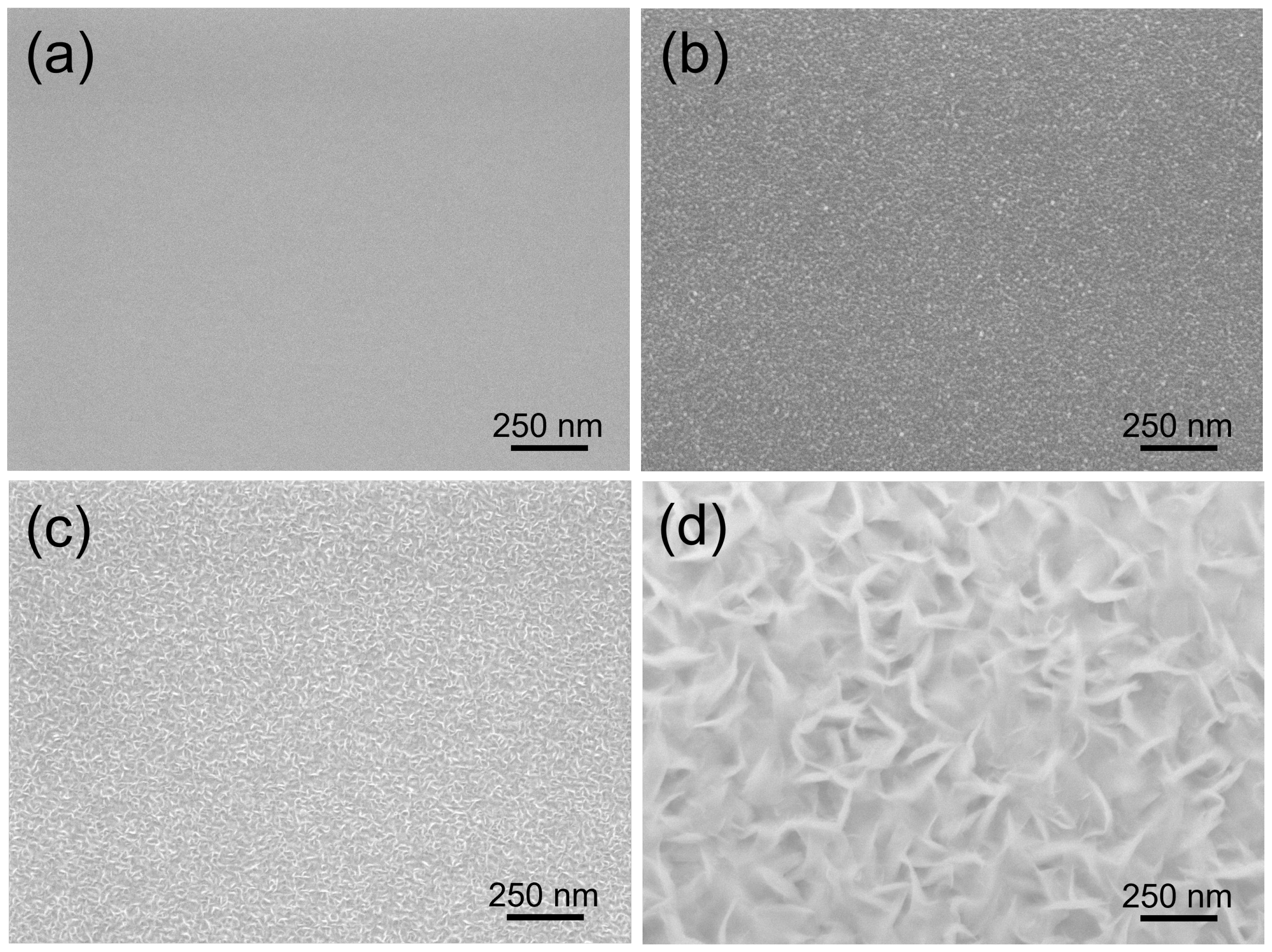 Nanomaterials 12 03876 g001 Nanomaterials 12 03876 g001