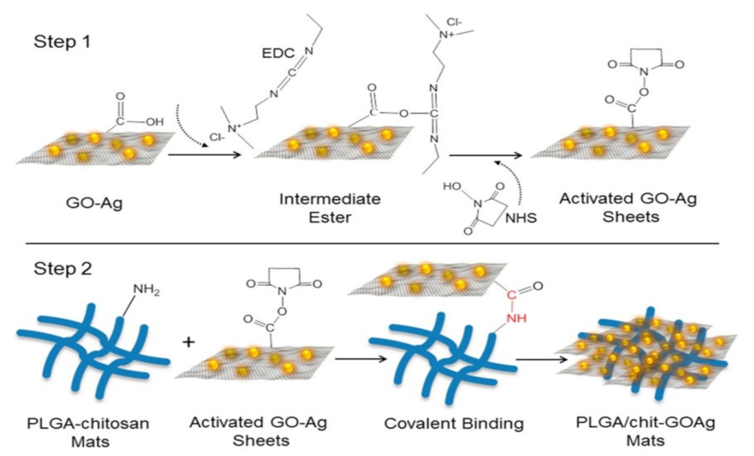 Nanomaterials 12 03899 g012 Nanomaterials 12 03899 g012