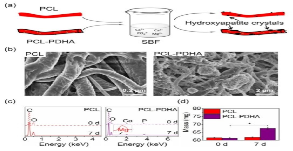 Nanomaterials 12 03899 g013 Nanomaterials 12 03899 g013