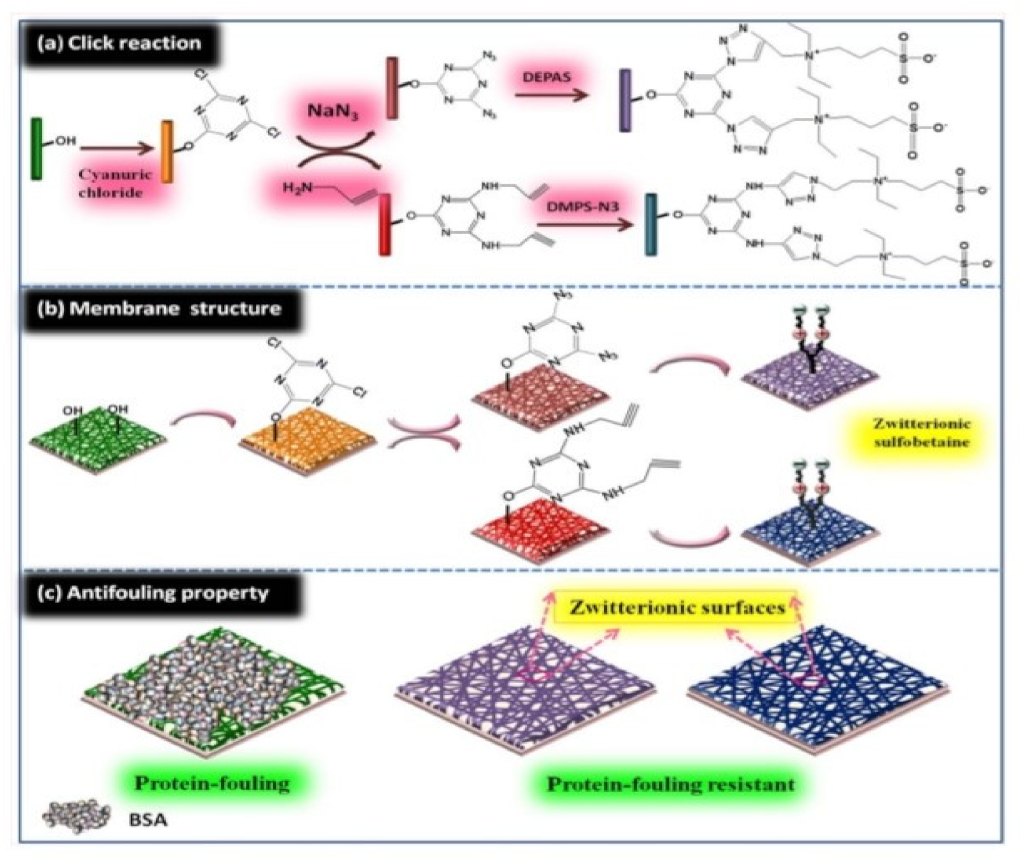 Nanomaterials 12 03899 g017 Nanomaterials 12 03899 g017