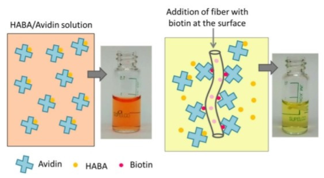 Nanomaterials 12 03899 g020 Nanomaterials 12 03899 g020