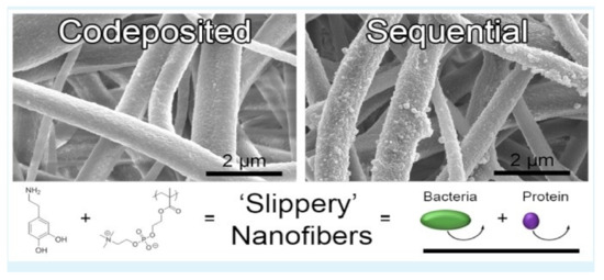 Surface Functionalization of Nanofibers: The Multifaceted Approach for ...