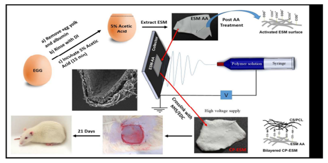 Nanomaterials 12 03899 g023 Nanomaterials 12 03899 g023