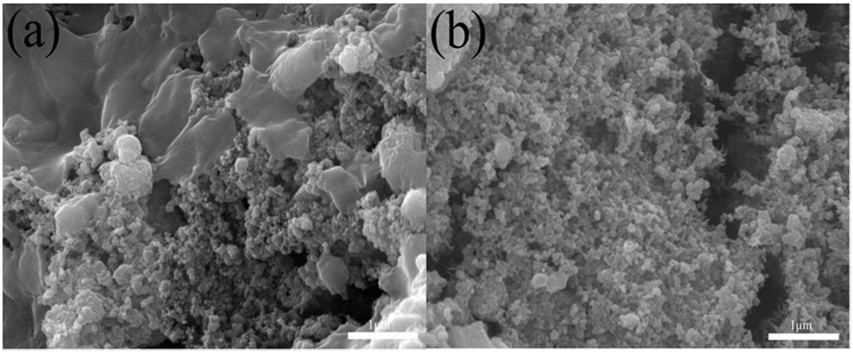 Nanomaterials 12 03901 g011 Nanomaterials 12 03901 g011