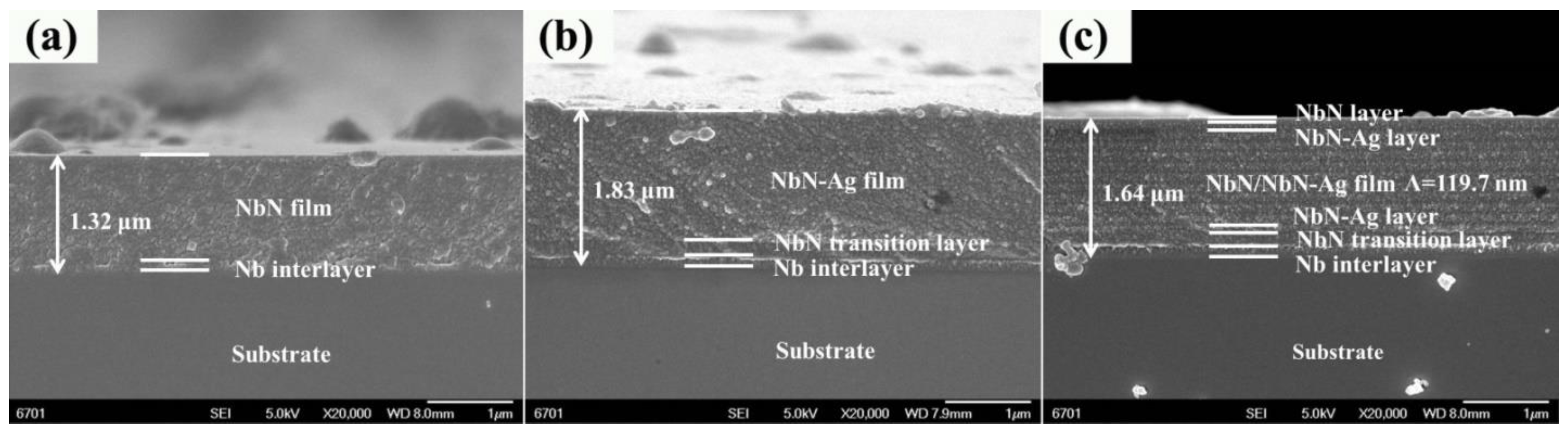 Nanomaterials 12 03909 g002