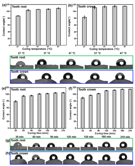 T helper 1 effector memory CD4+ T cells protect the skin