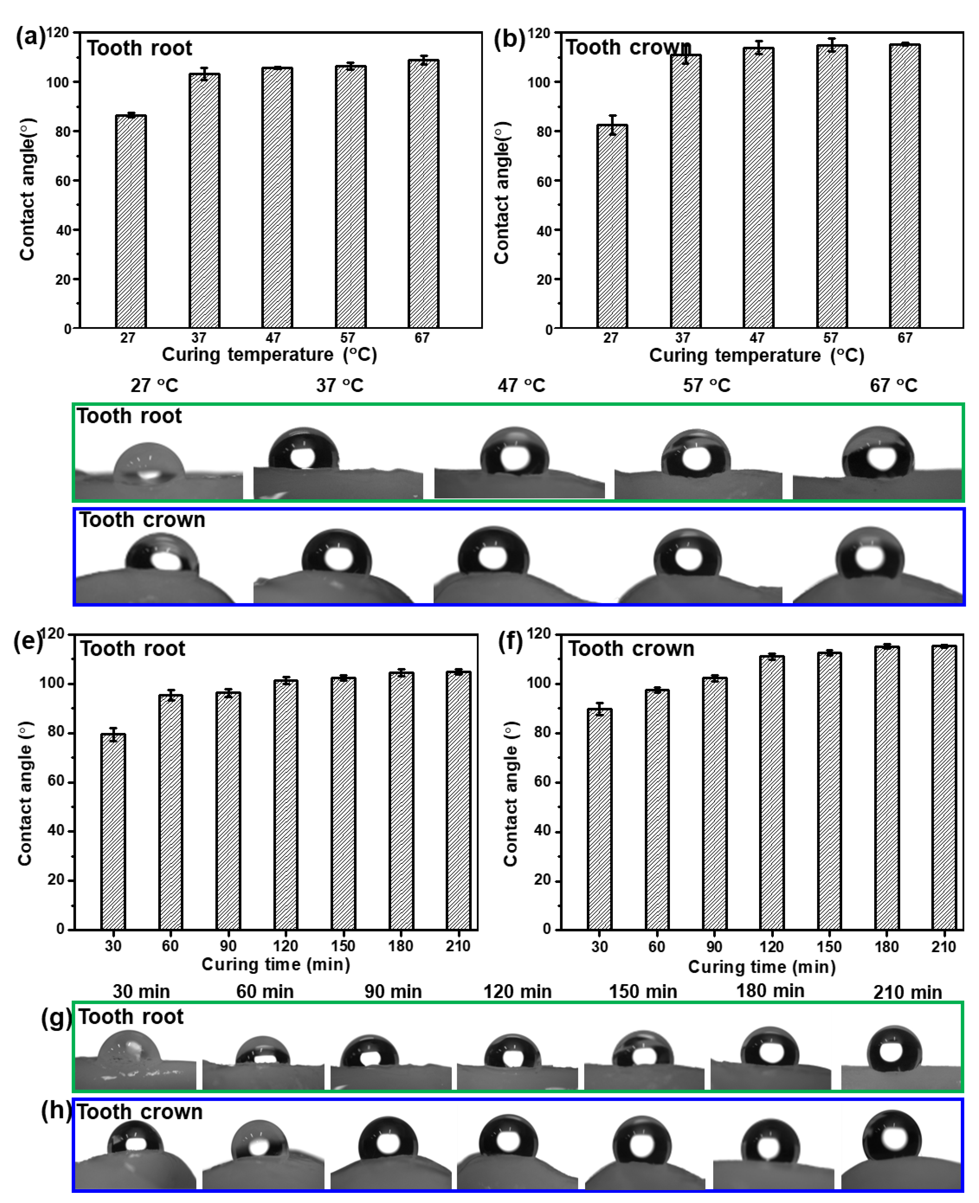Nanomaterials 12 03911 g004