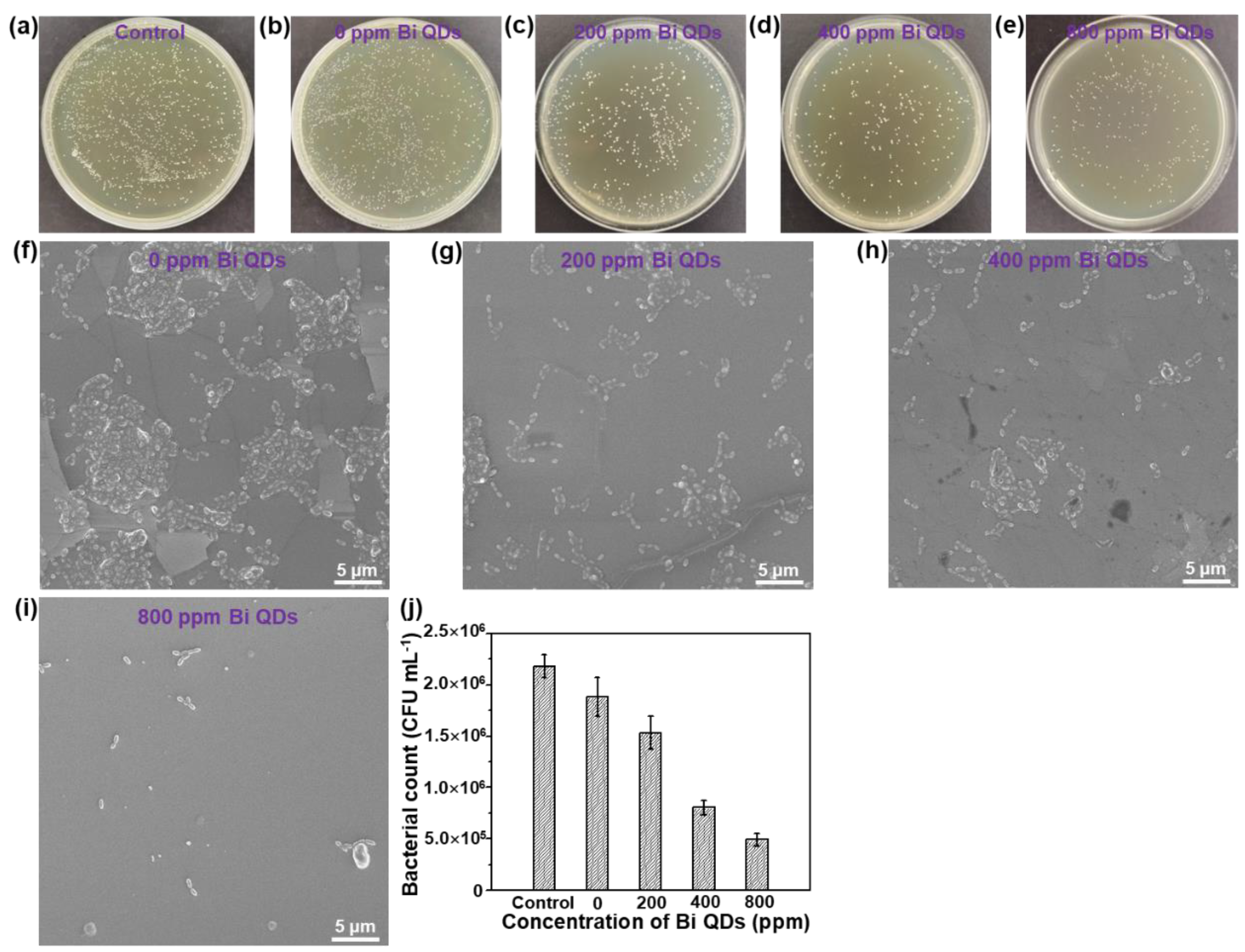 Nanomaterials 12 03911 g005